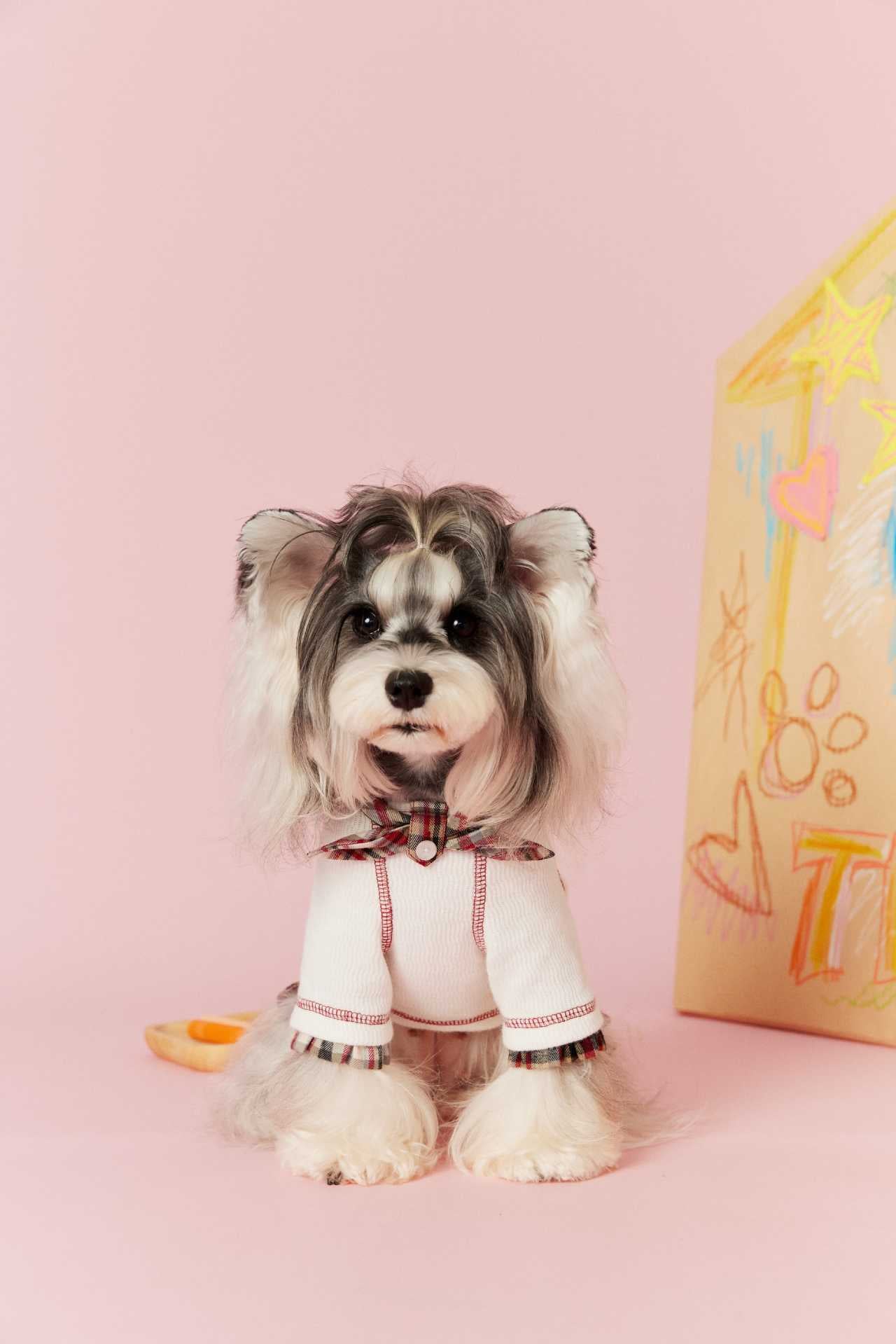 Plaid Doll Collar Knit Dress