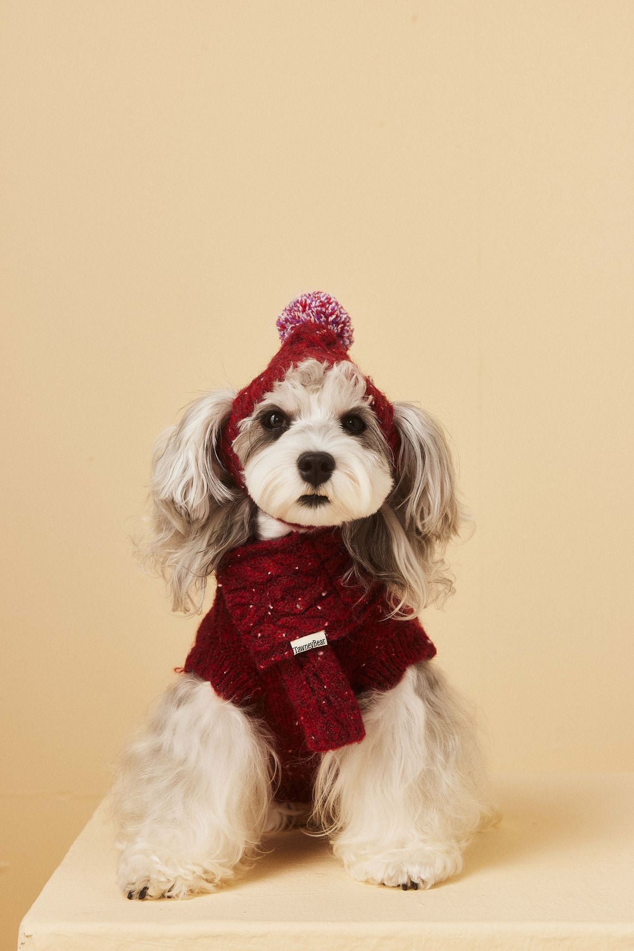 Red Knit Sweater with Puppy Patch