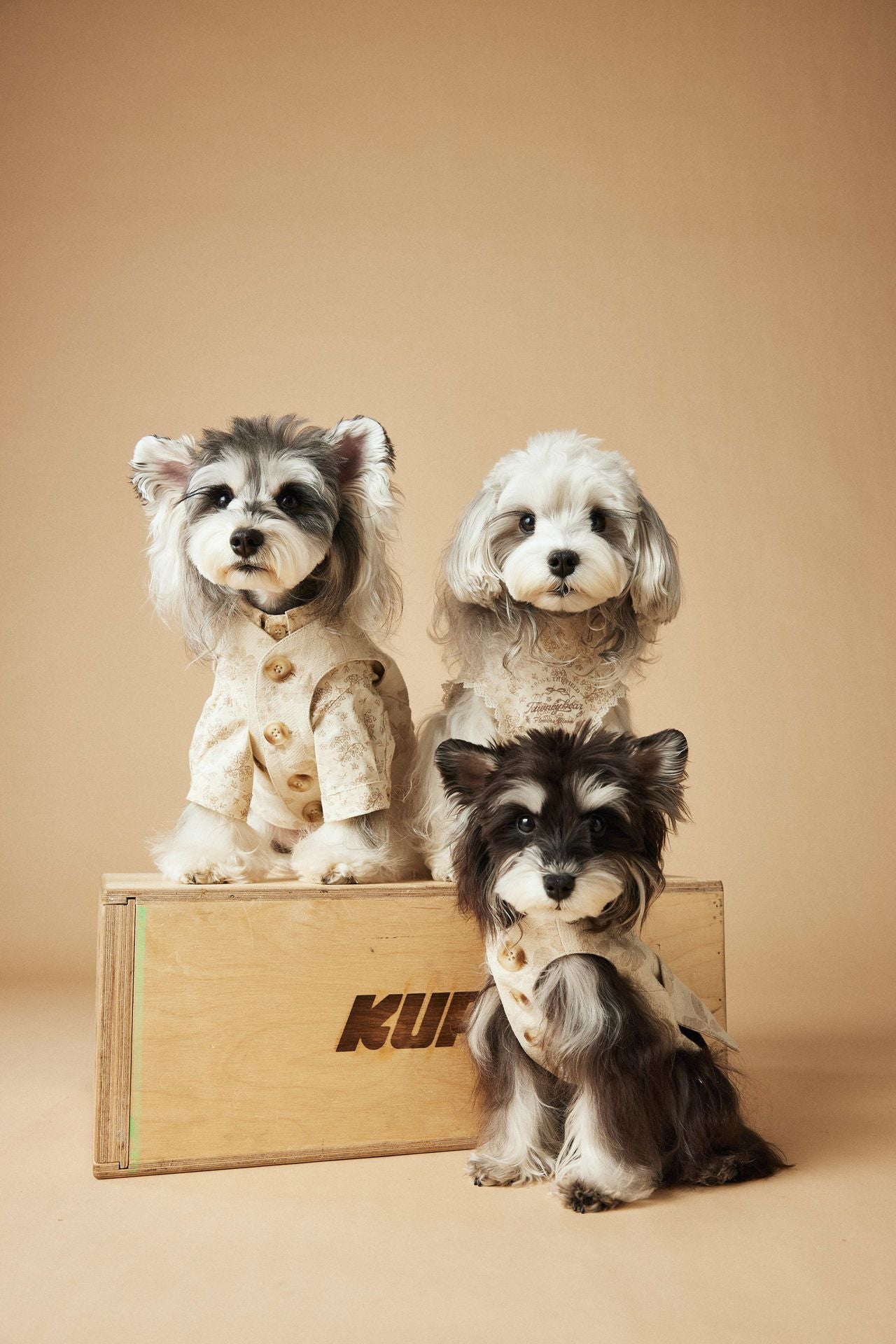 Ivory Gentleman Suit Vest