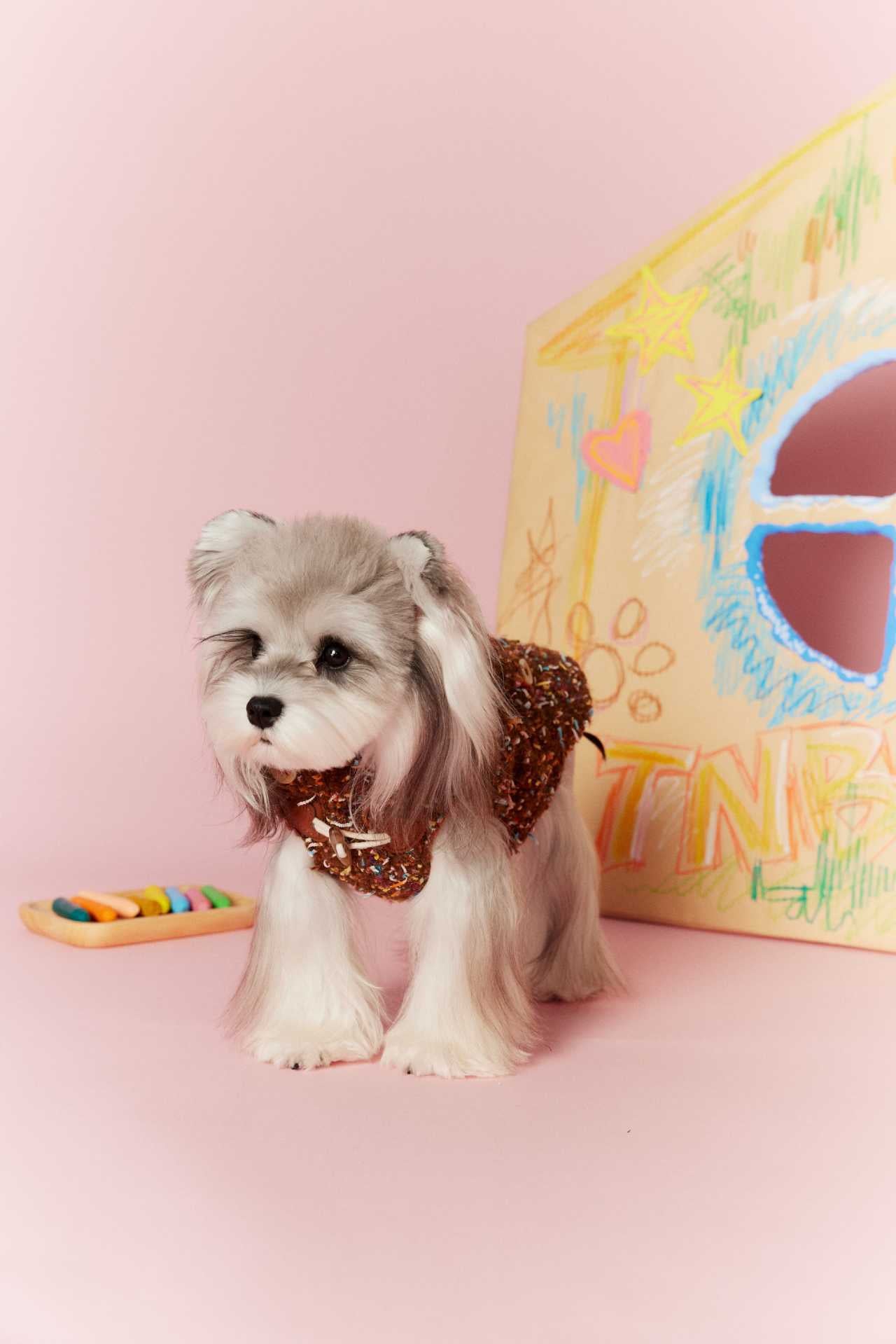 Confetti Tweed Toggle Hooded Dog Vest