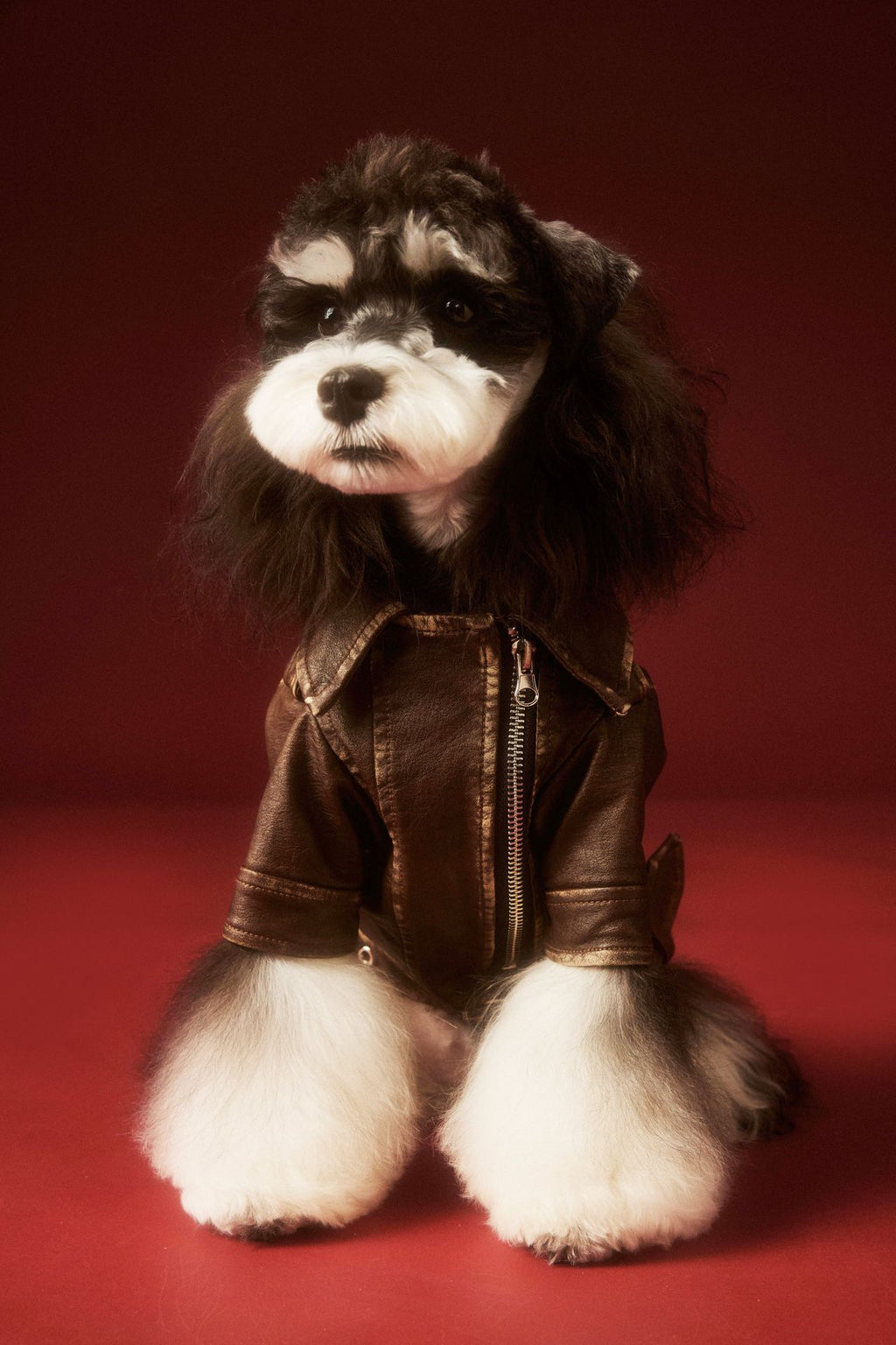 Vintage Biker Faux Leather Jacket