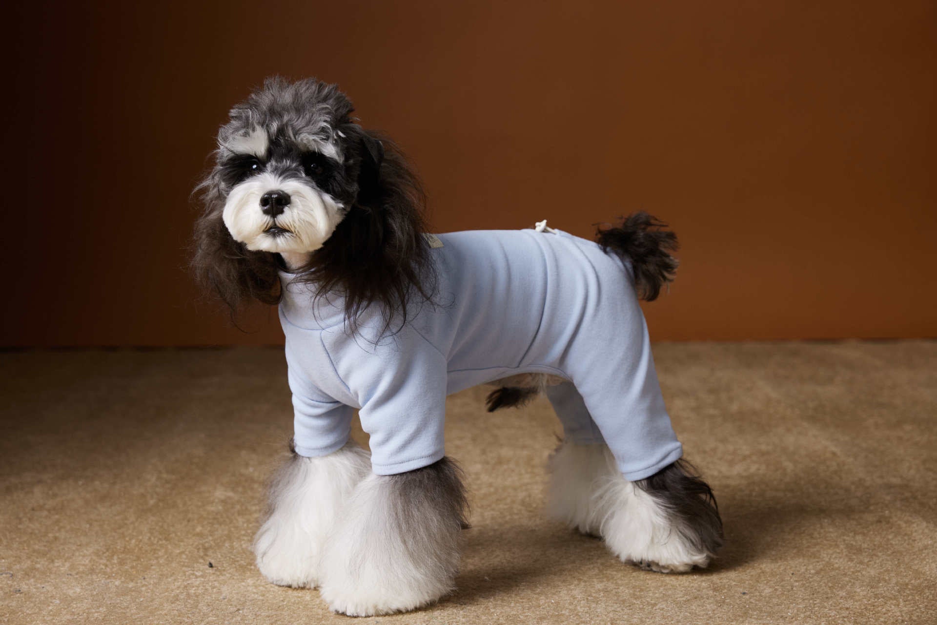 Warm Four-Leg Dog Jumpsuit