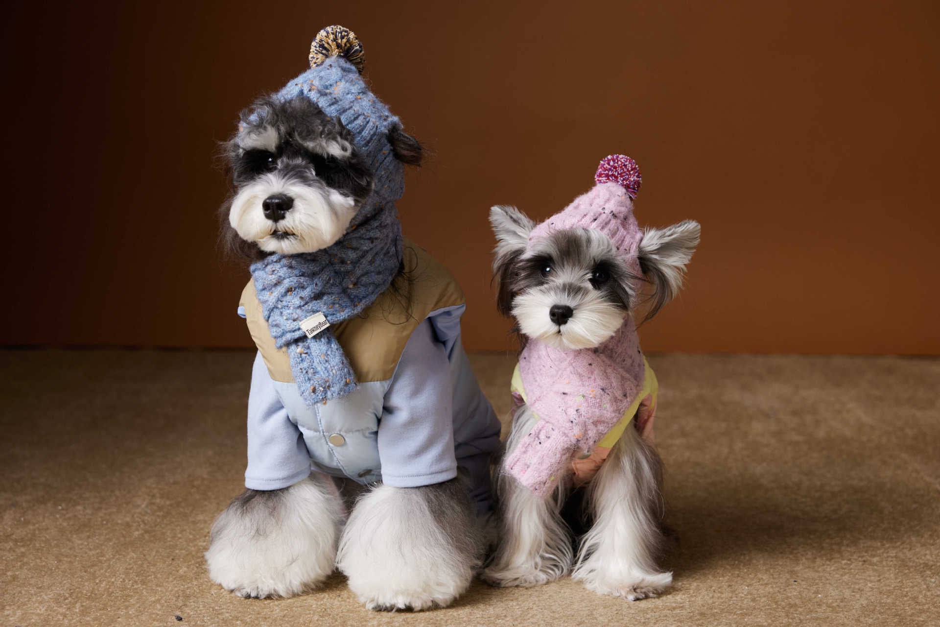 Colorblock Puffer Vest