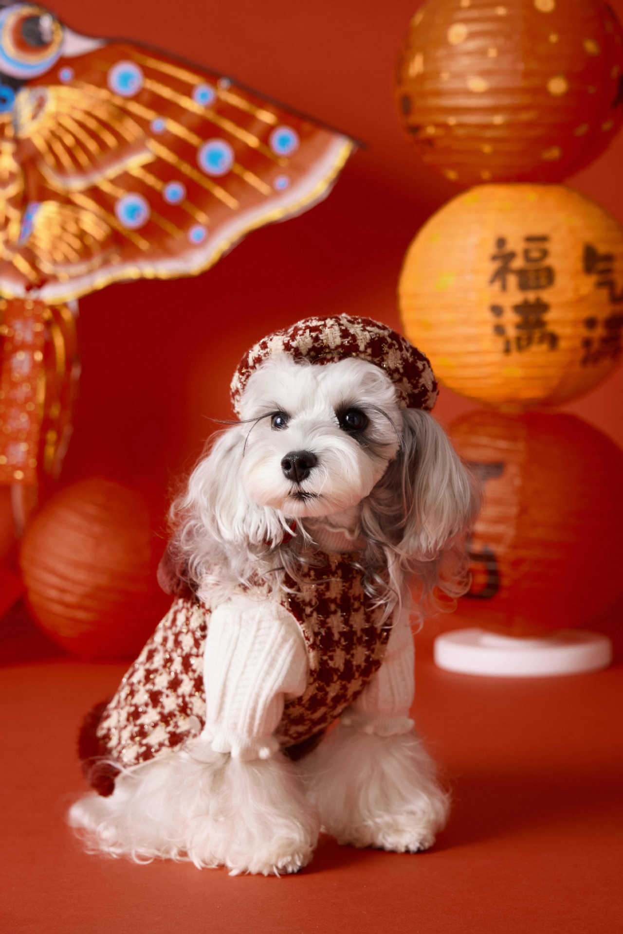 Vintage Houndstooth Winter Dress