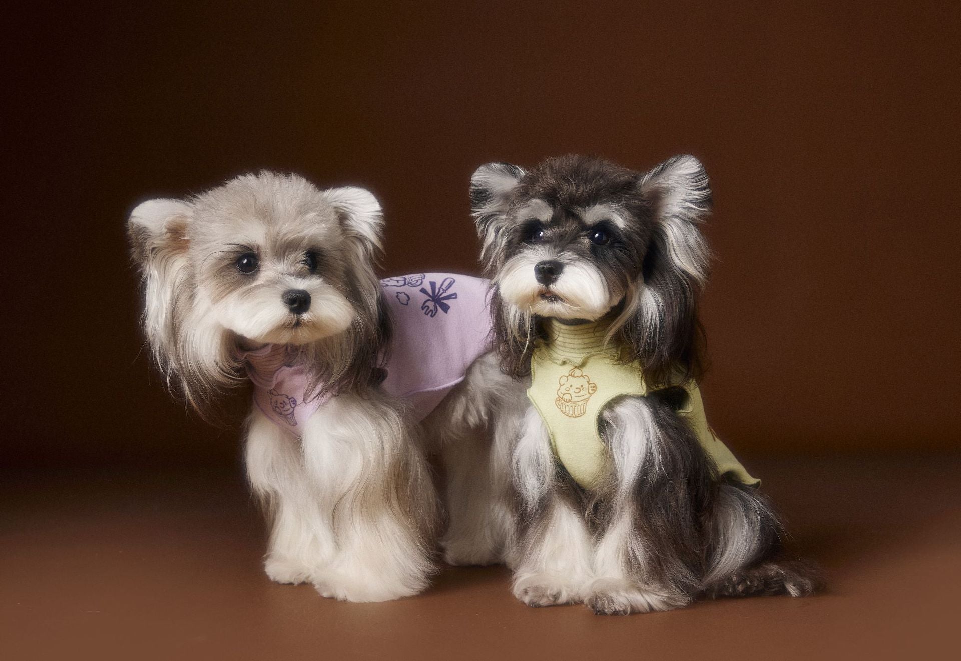 Ruffle Cupcake Dog Vest