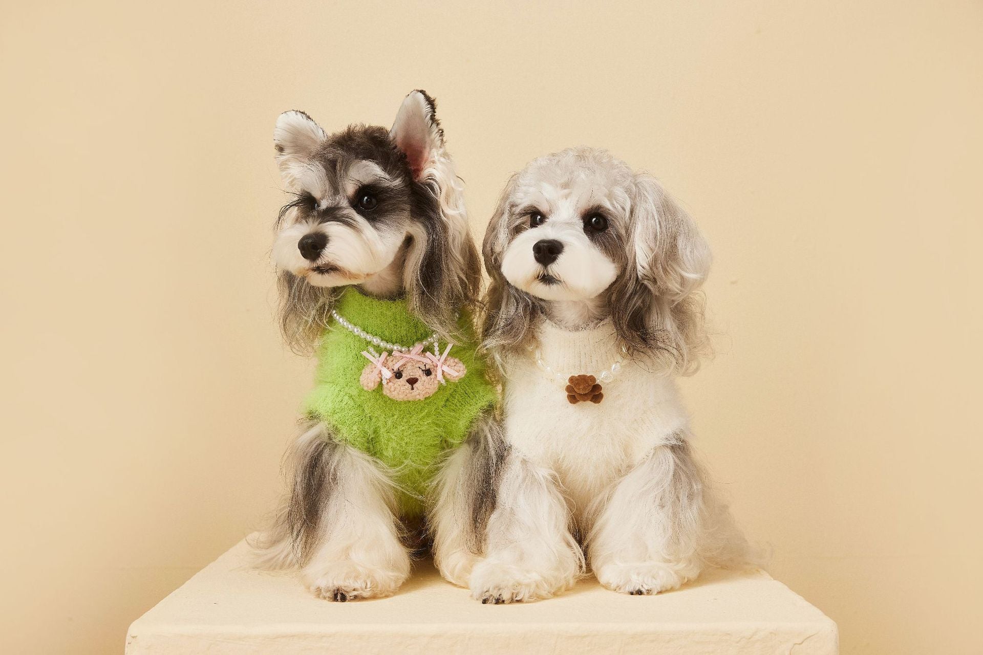 Fluffy Knit Dog Vest with Teddy Face