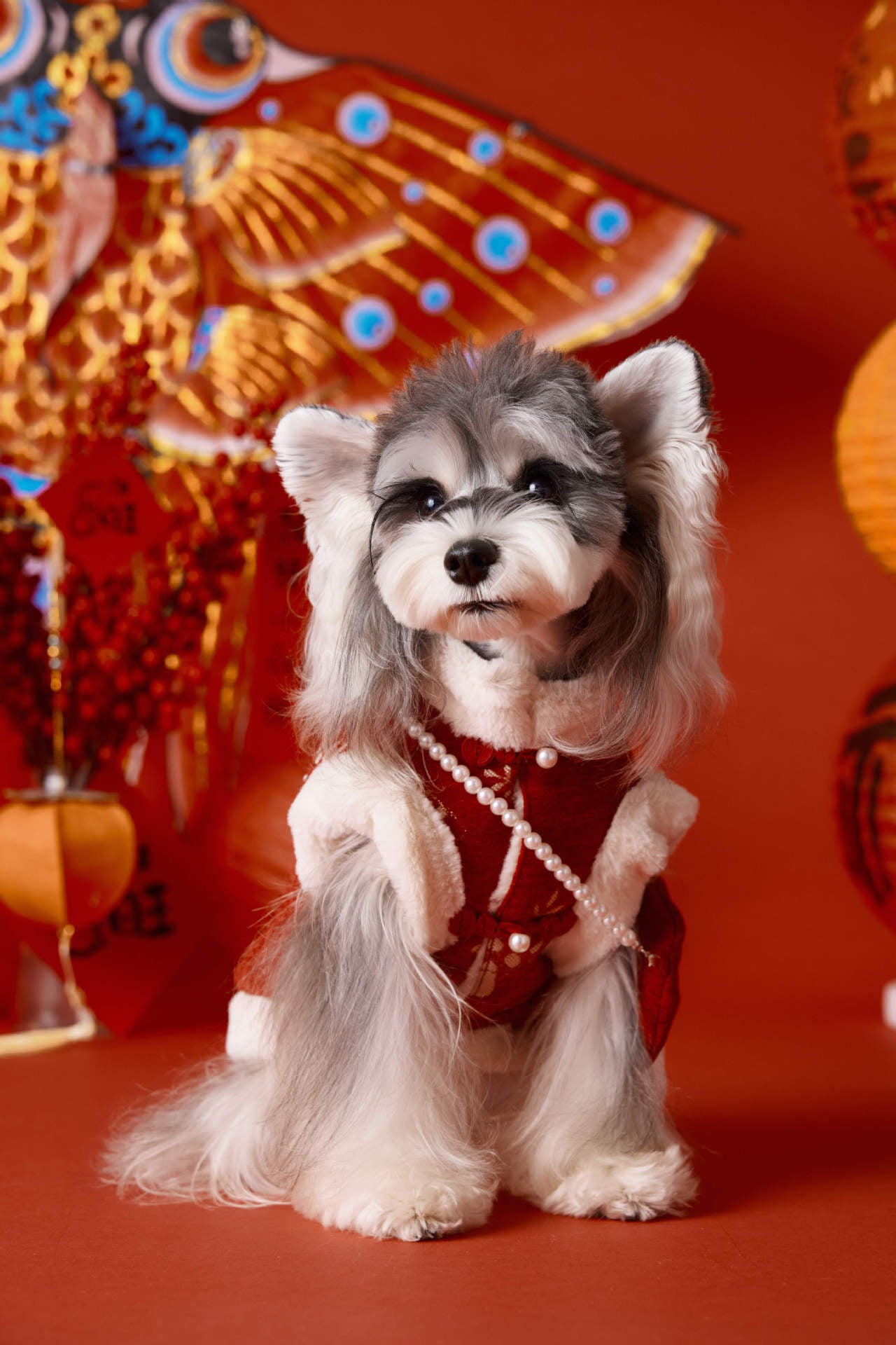 Lunar New Year Plush Brocade Coat