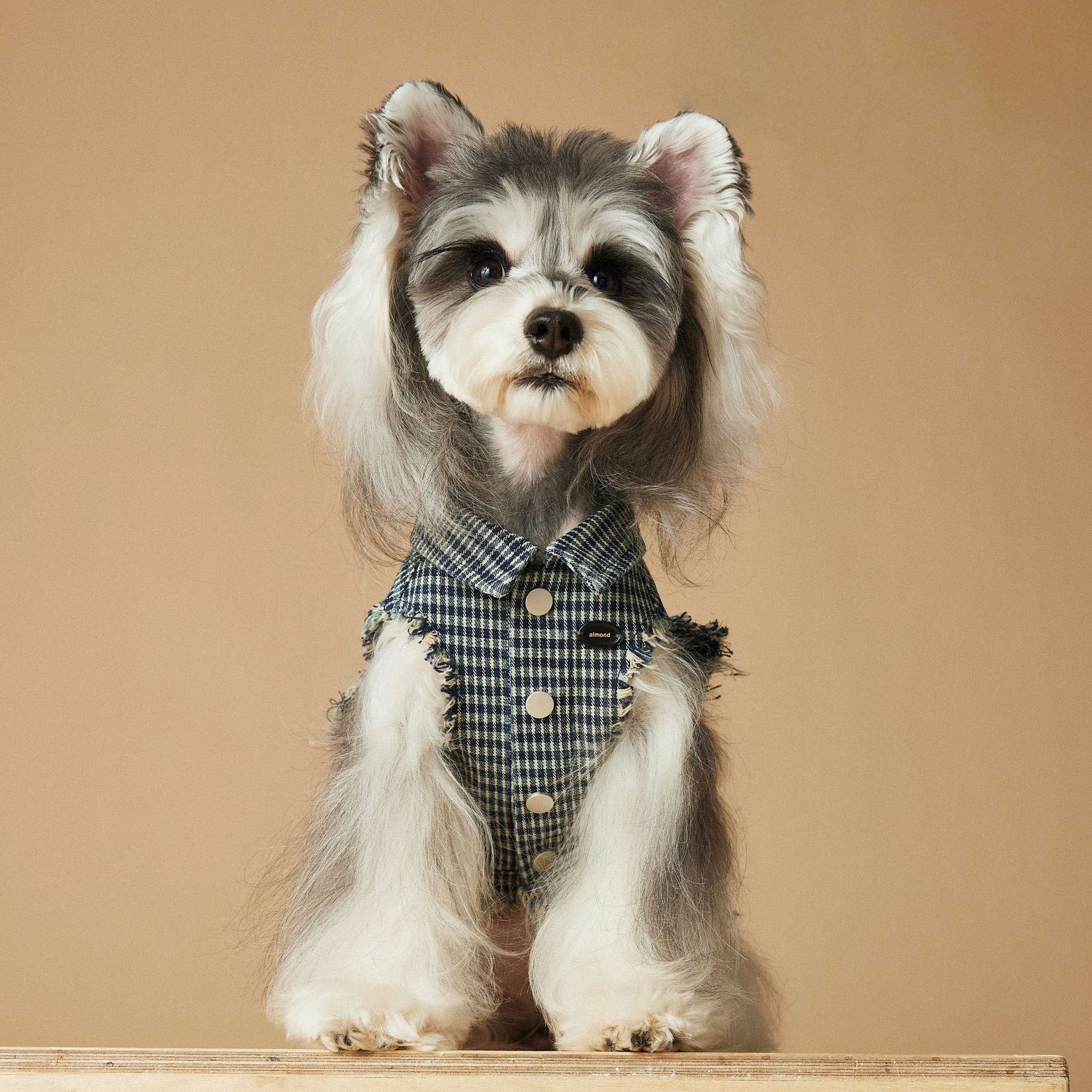 Vintage Plaid Dog Vest with Fringe and Embroidered Patch
