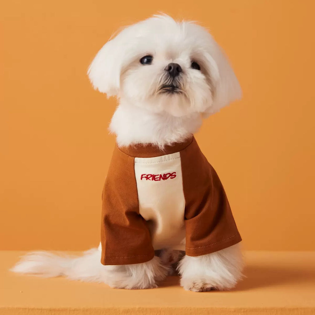‘Friends’ Embroidered Cute Cotton Dog T-Shirt