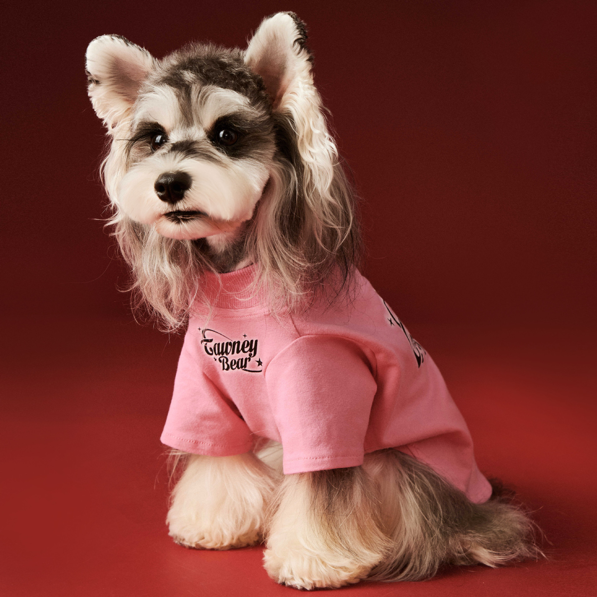 Pink Cartoon Graphic Pet Sweatshirt