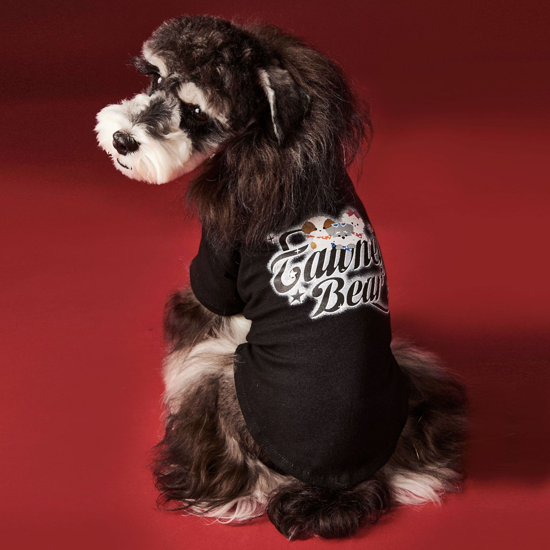 Pink Cartoon Graphic Pet Sweatshirt