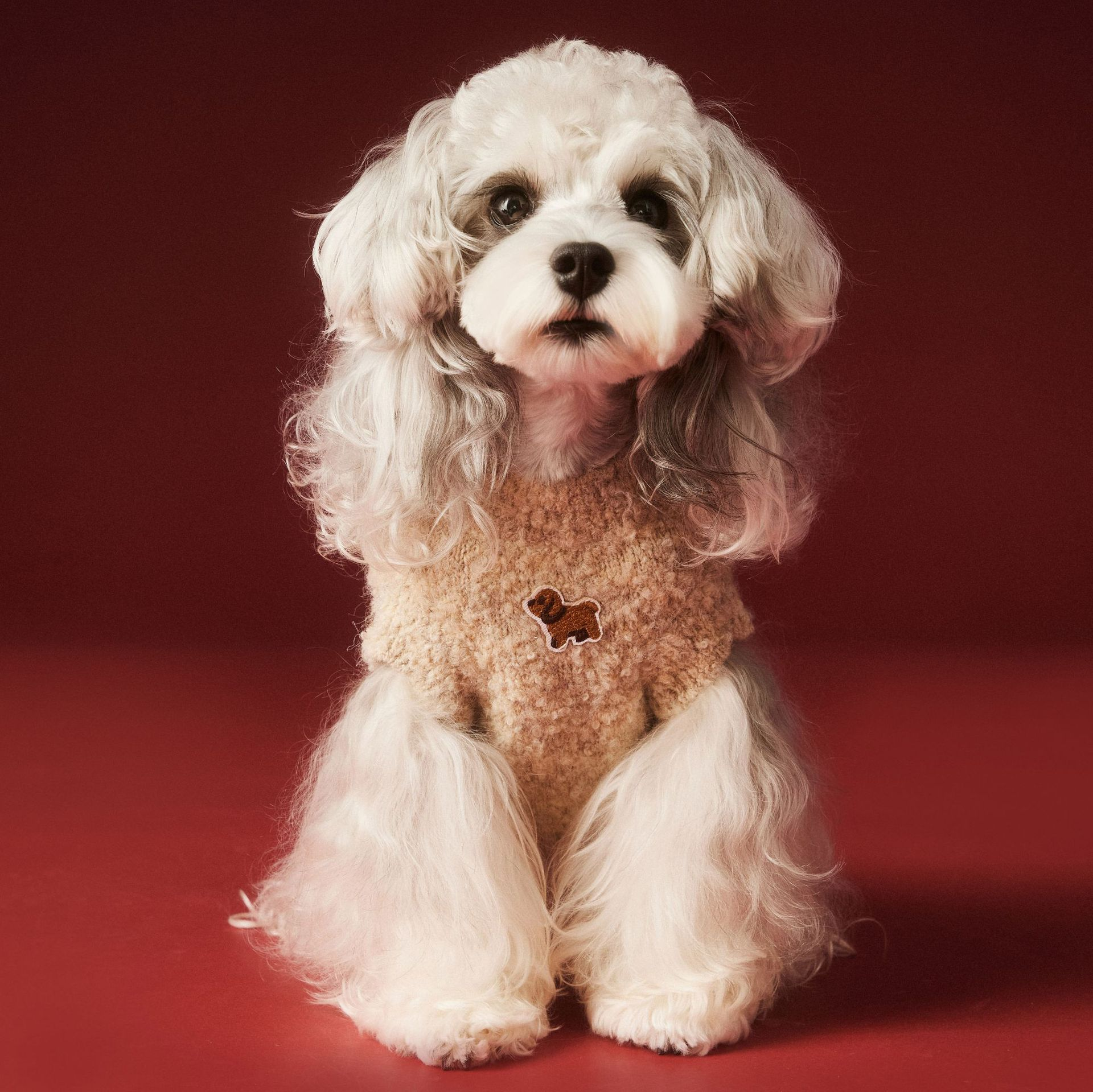 Teddy Patch Fleece Dog Sweater