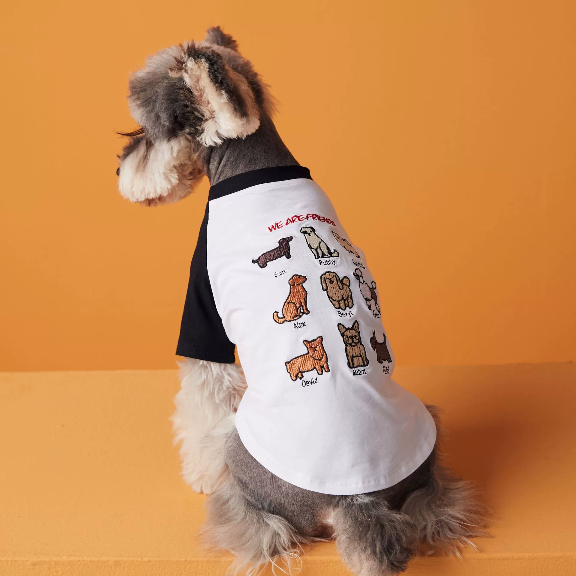 ‘Friends’ Embroidered Cute Cotton Dog T-Shirt
