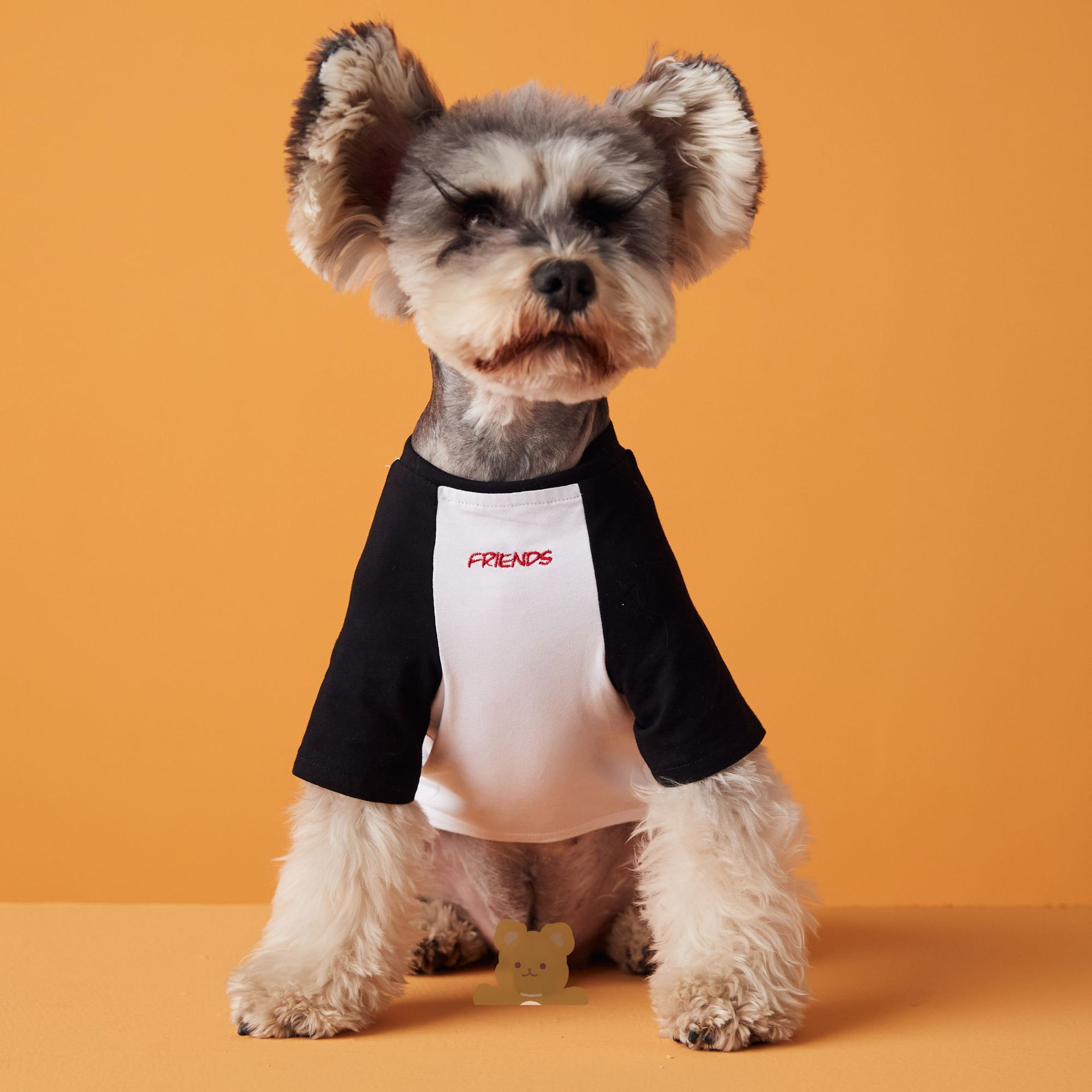 ‘Friends’ Embroidered Cute Cotton Dog T-Shirt