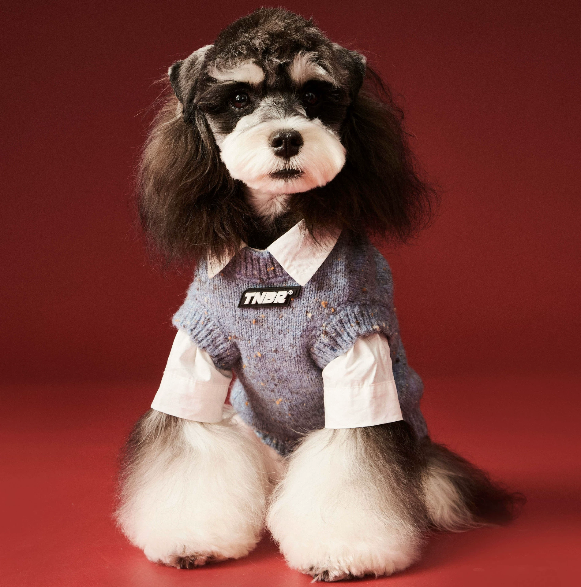 Gray Blue Knit Dog Sweater Vest