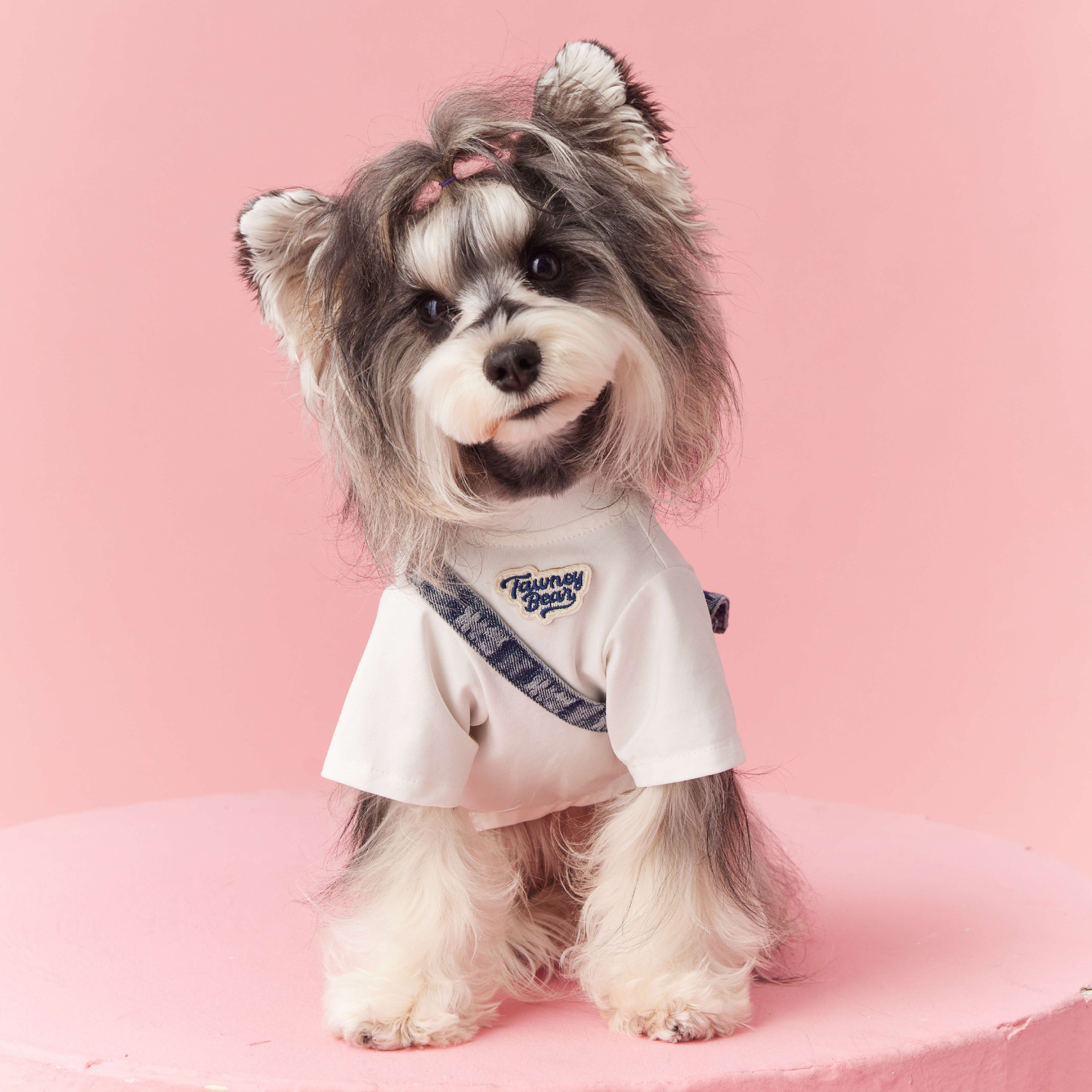 Denim Bag Graphic Tee for Dogs
