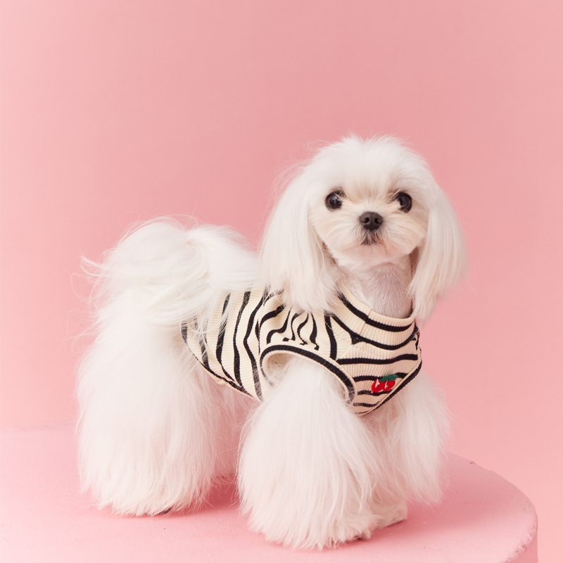 🍒 Striped Cherry Vest