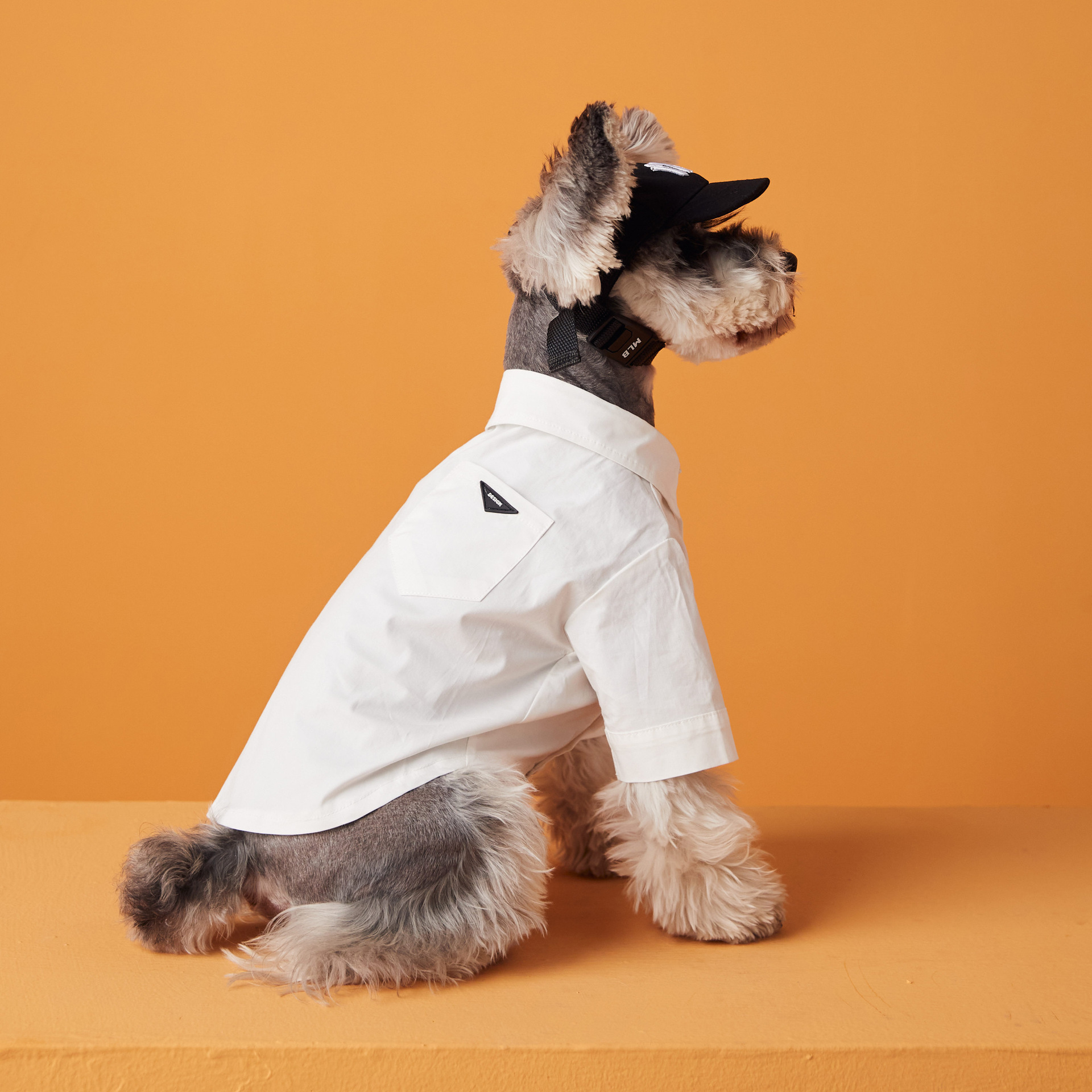 Classic White Dog Shirt