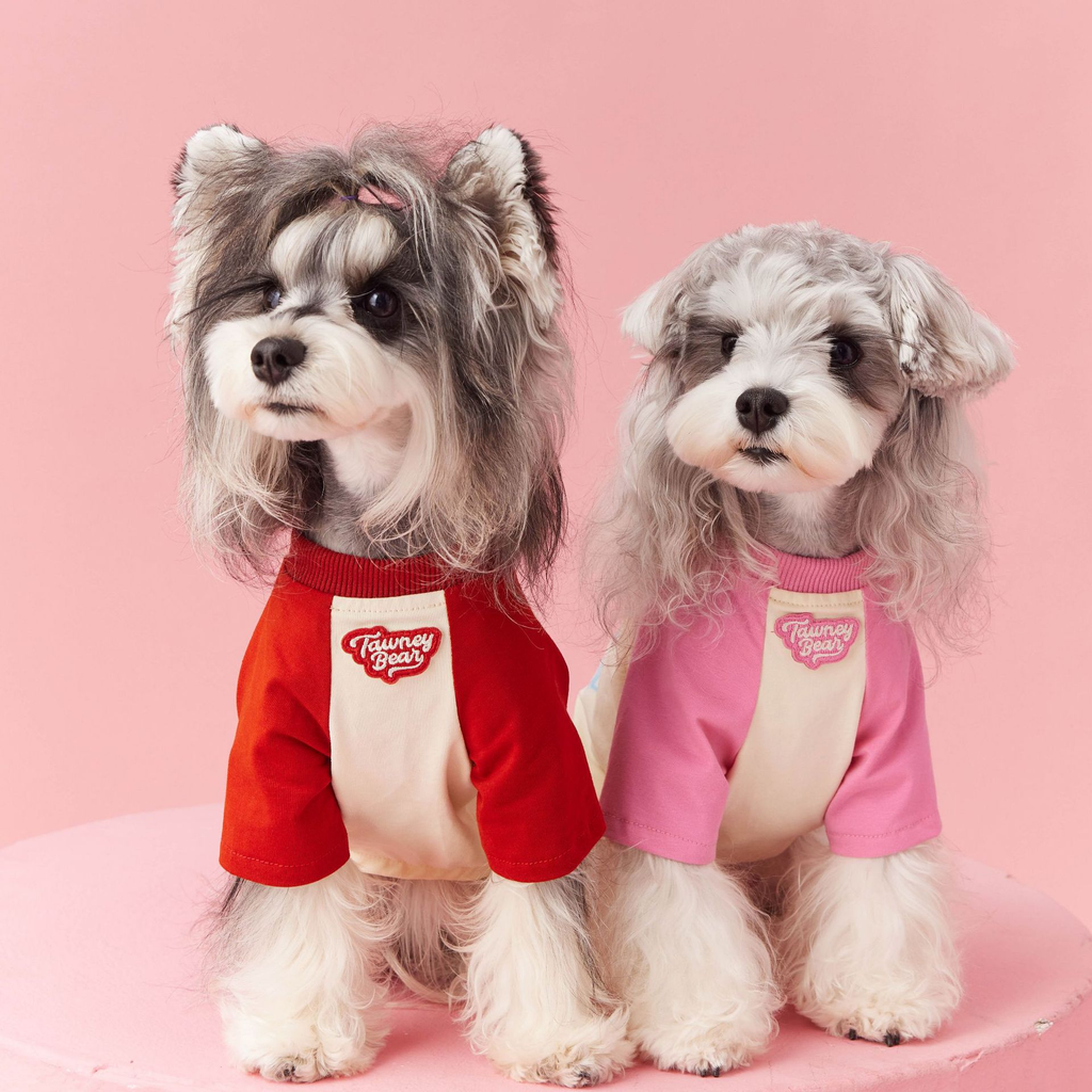 Colorblock raglan sleeve dog shirt