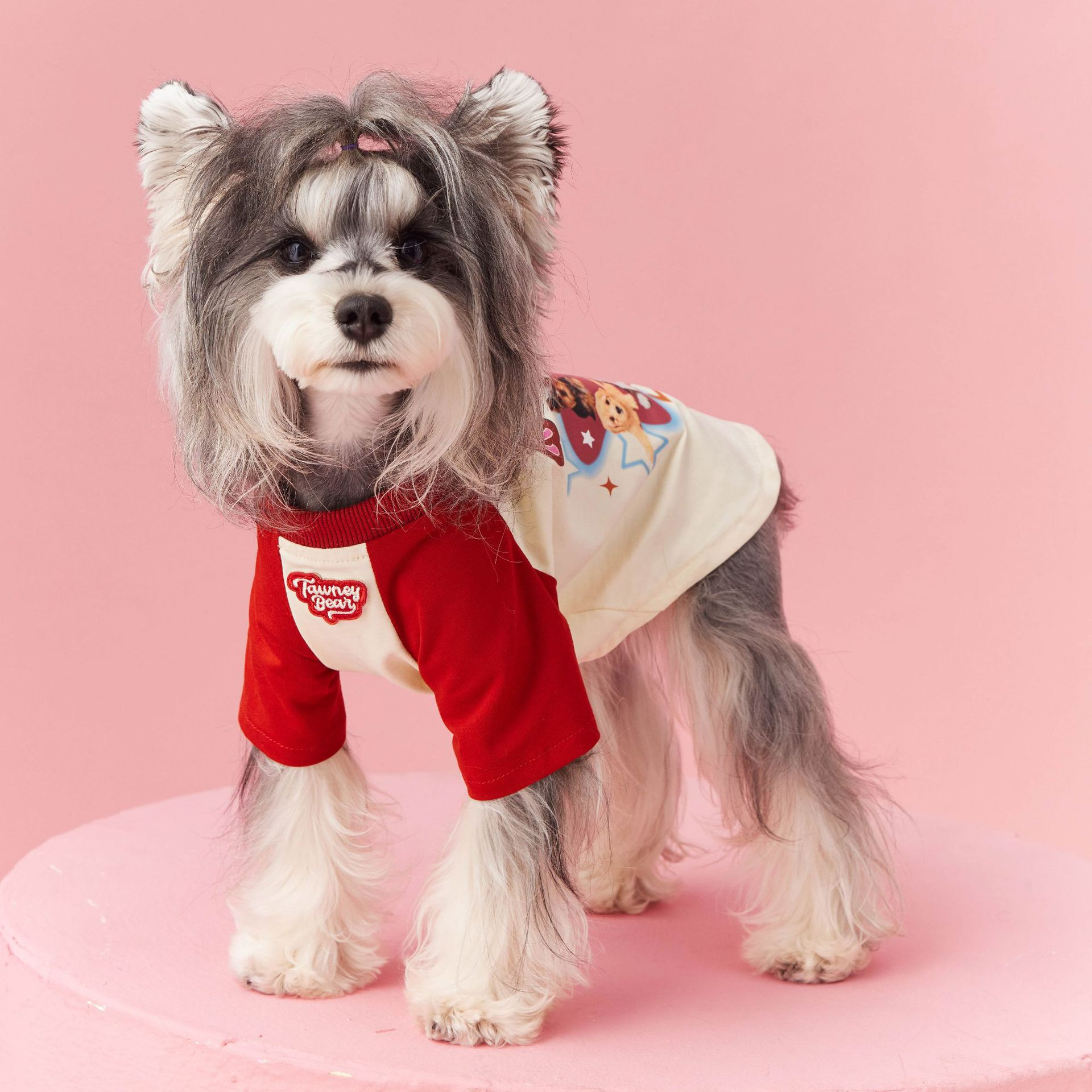 Colorblock raglan sleeve dog shirt