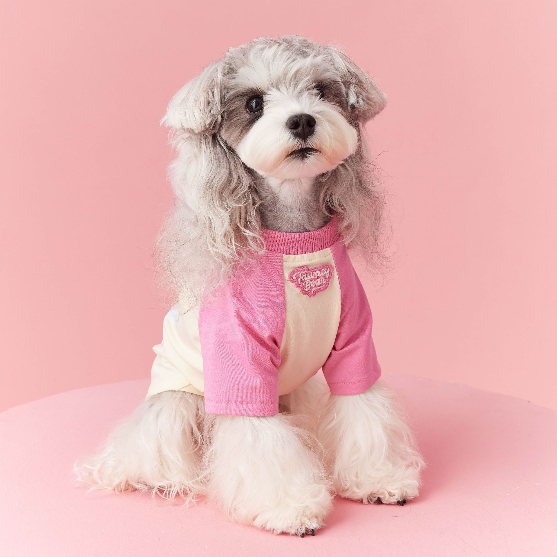 Colorblock raglan sleeve dog shirt