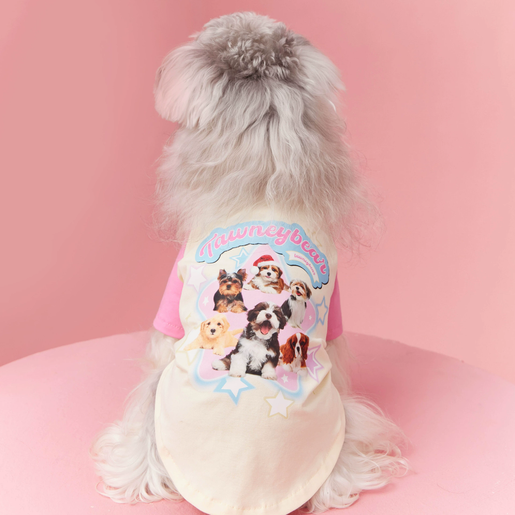 Colorblock raglan sleeve dog shirt