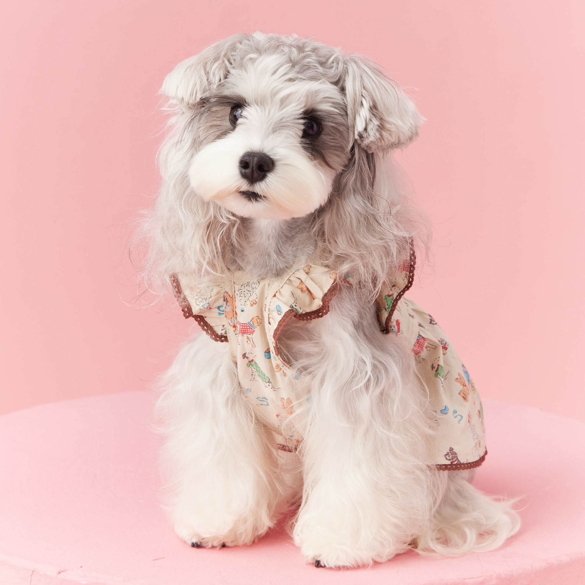 Vintage Dog Print Dress