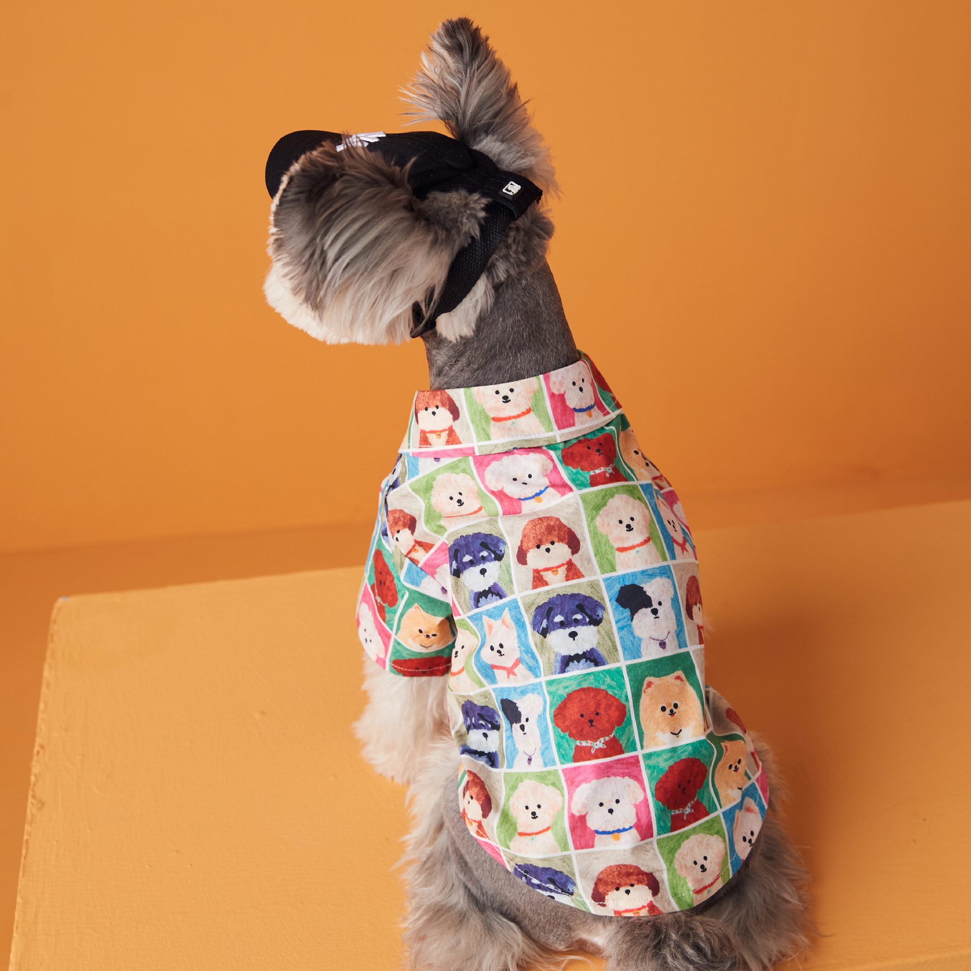 Colorful Cartoon Pup Print Shirt