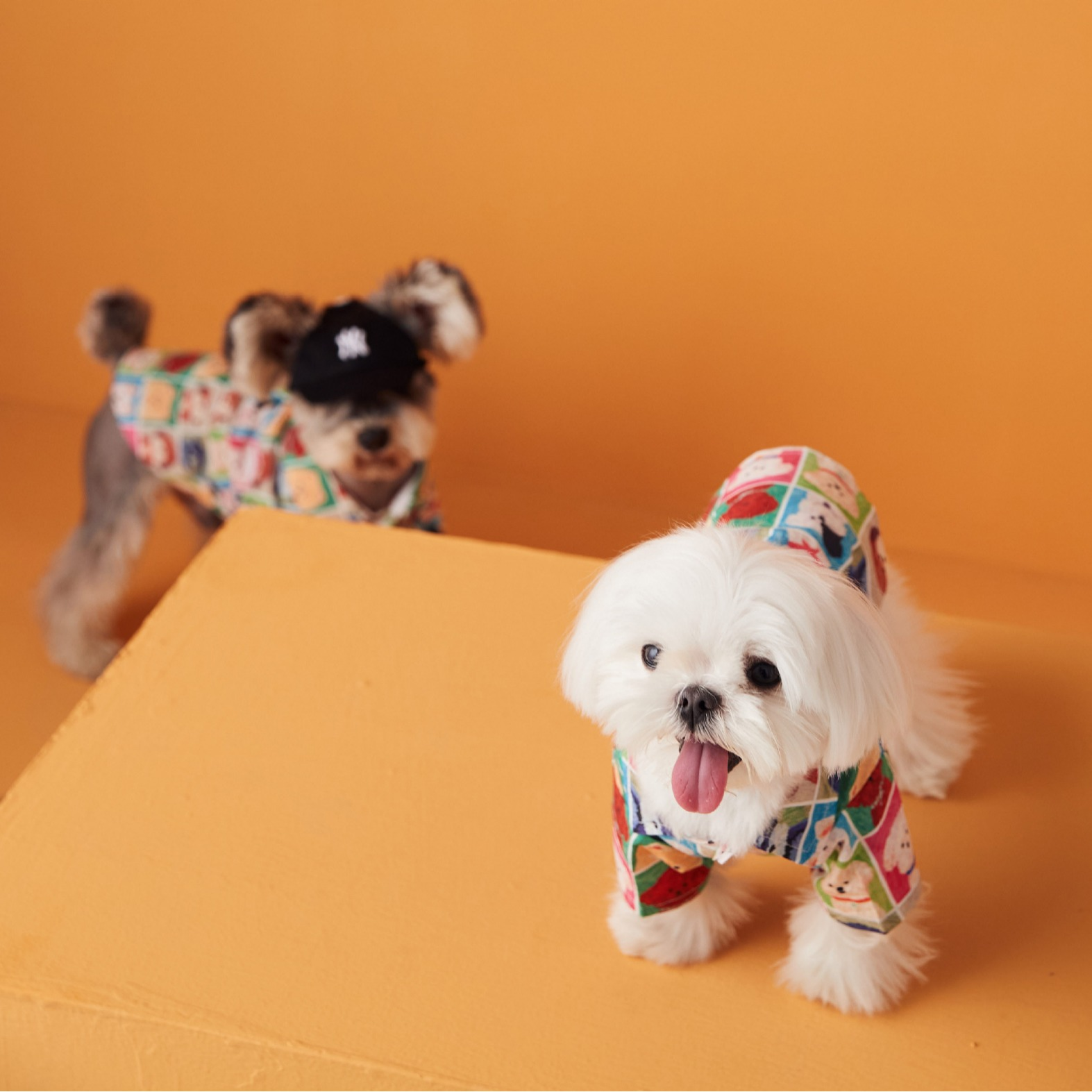 Colorful Cartoon Pup Print Shirt