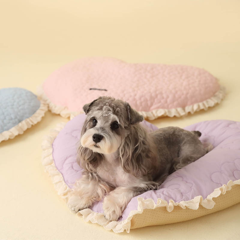 Heart Shaped Dog Mat