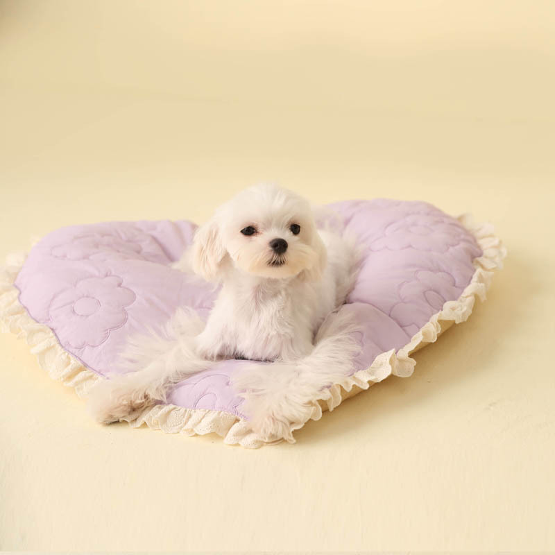 Heart Shaped Dog Mat