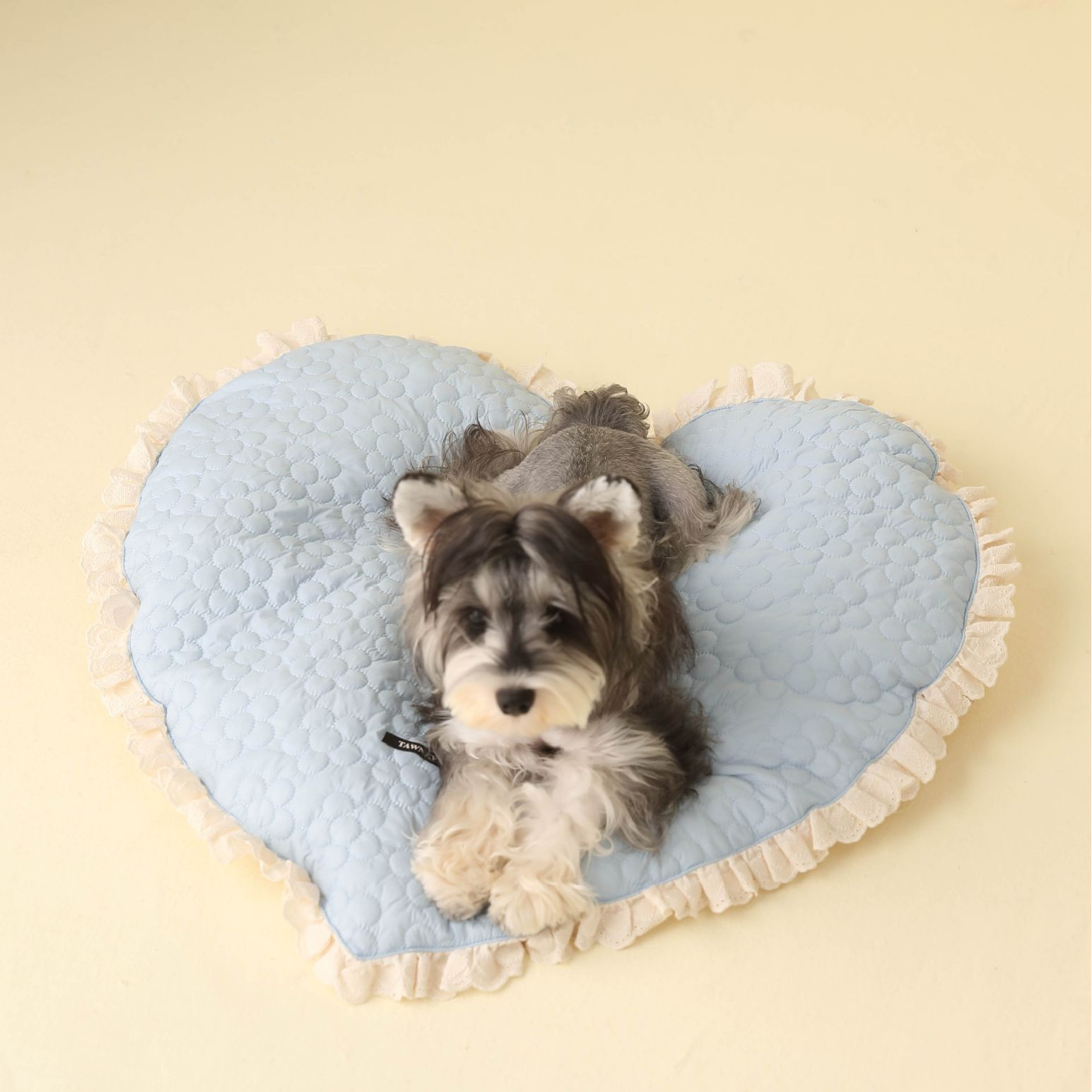 Heart Shaped Dog Mat