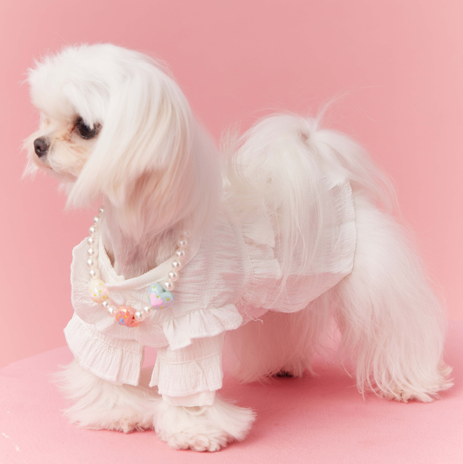 White Ruffle Princess Dress