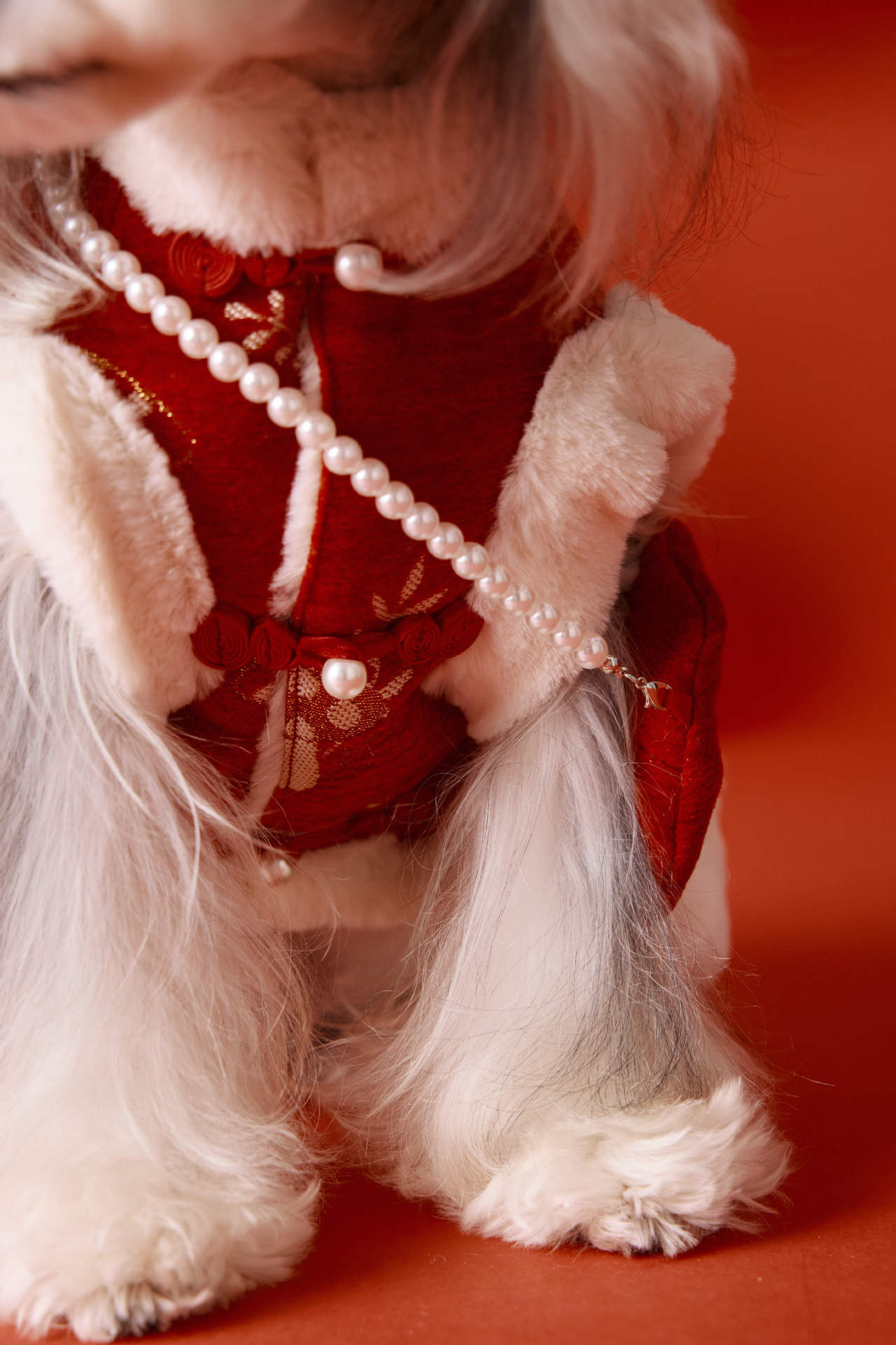 Lunar New Year Plush Brocade Coat