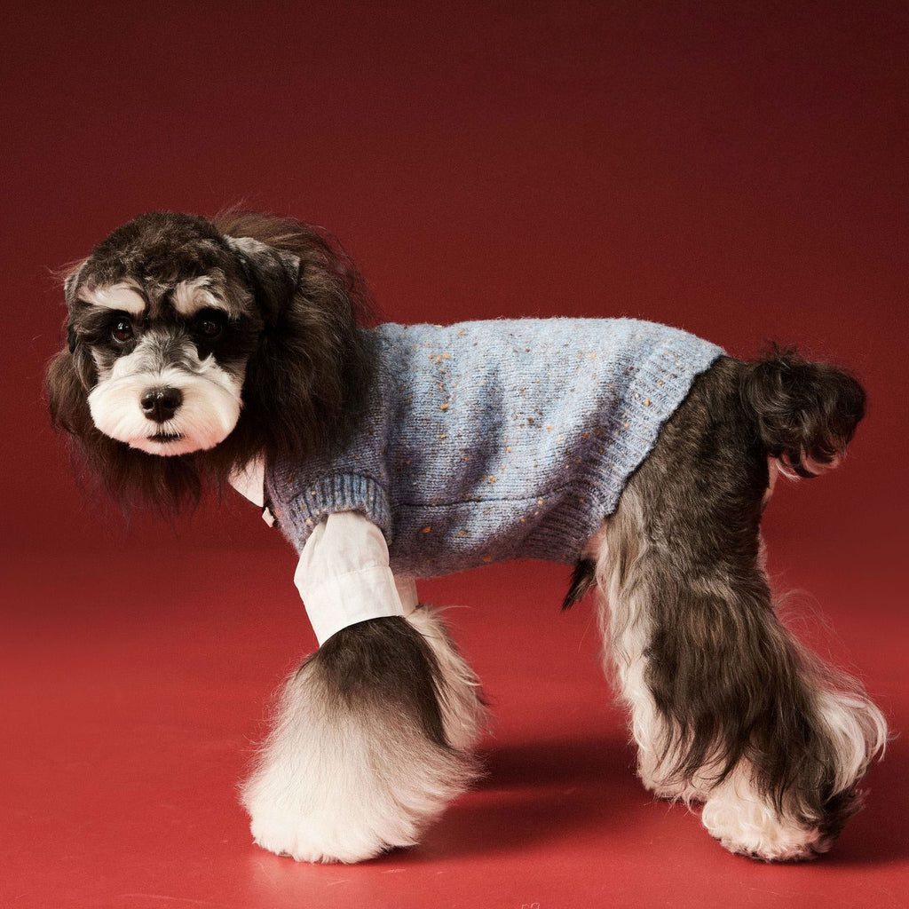 Gray Blue Knit Dog Sweater Vest