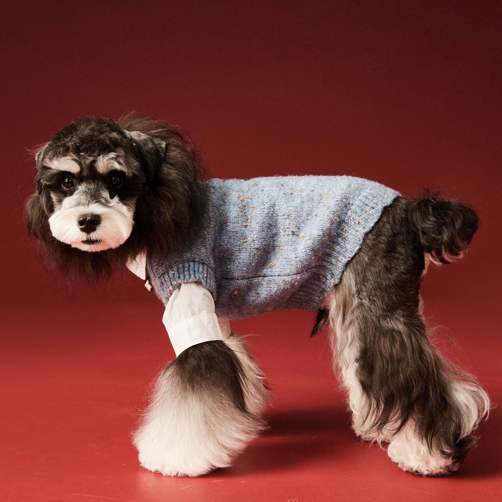 Gray Blue Knit Dog Sweater Vest