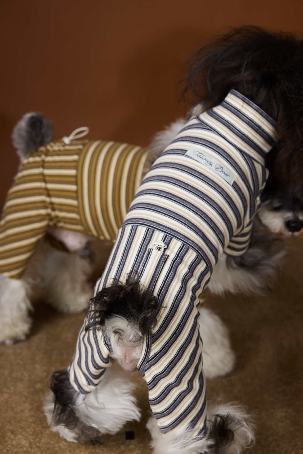 Striped Four-Legged Turtleneck Base Layer