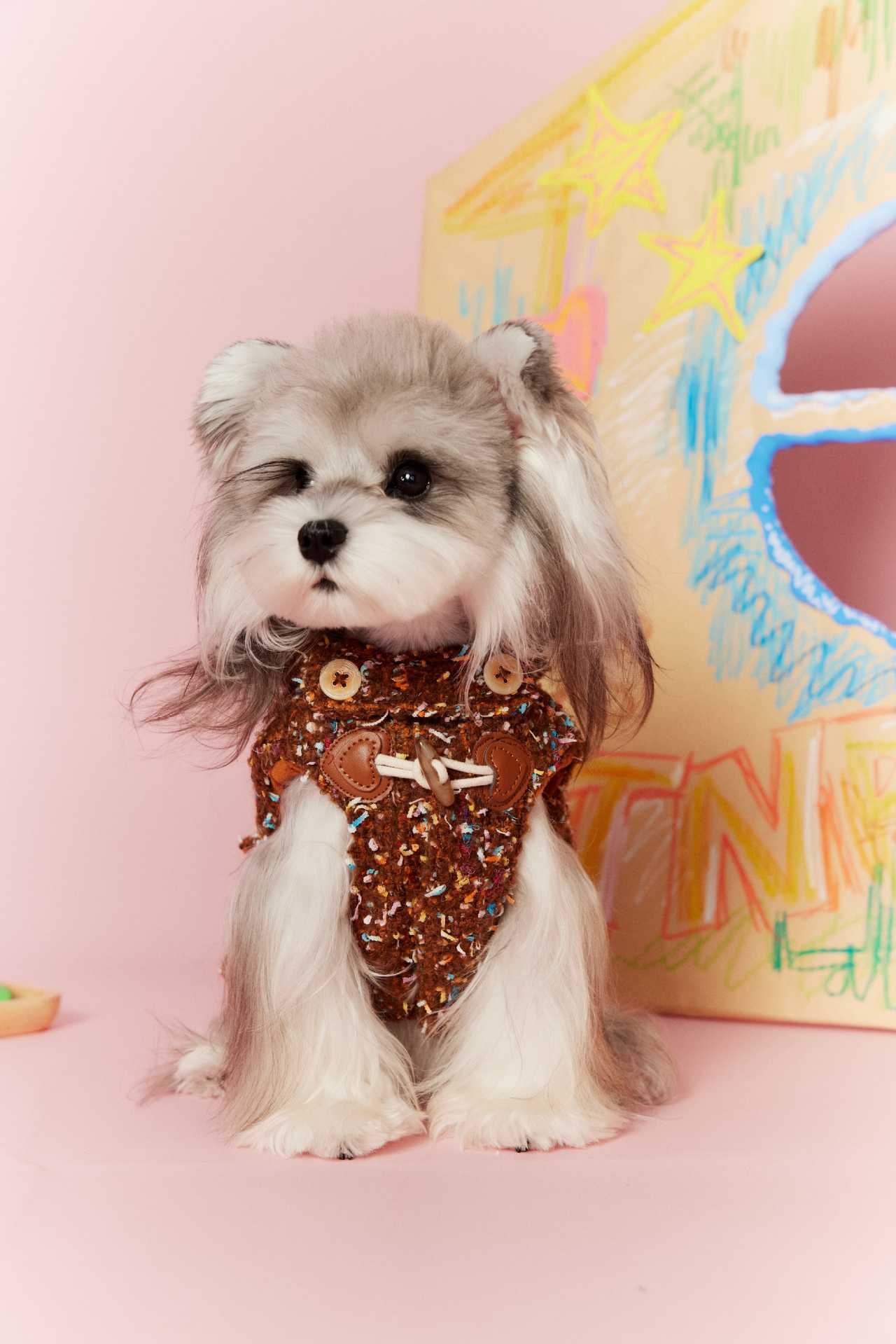 Confetti Tweed Toggle Hooded Dog Vest