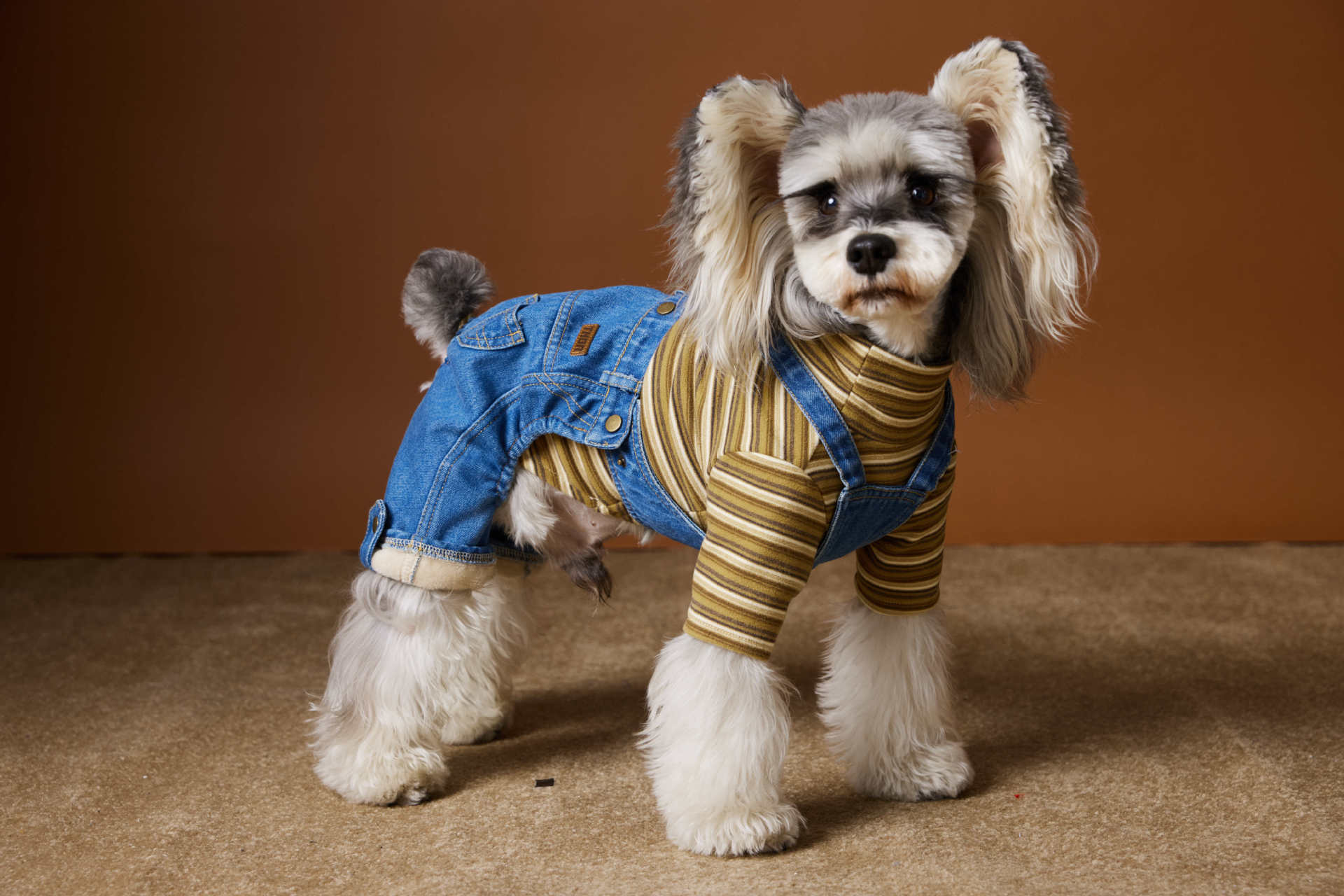 Vintage Striped Fleece-Lined Denim Overalls