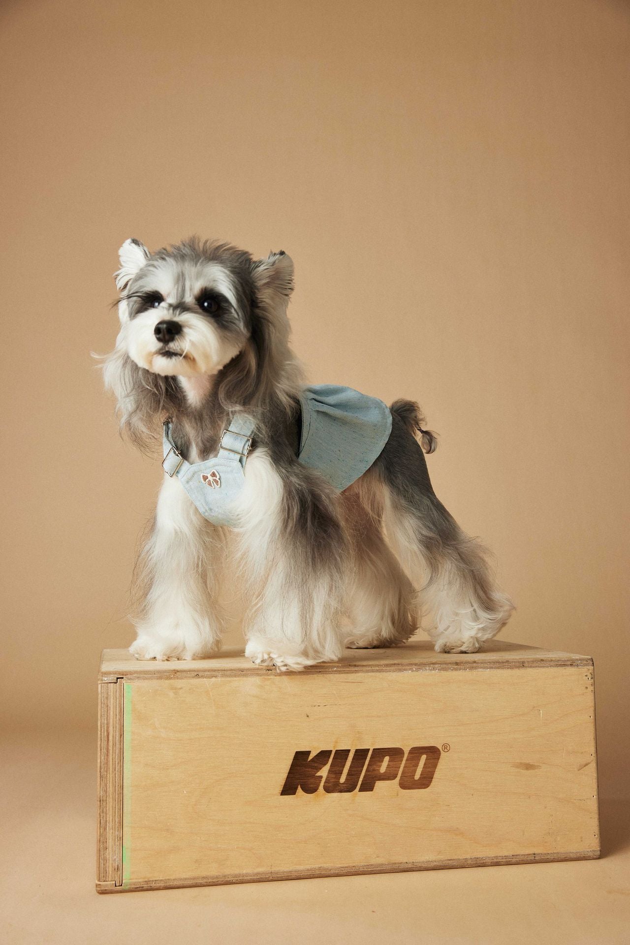 Washed Denim Harness Dress