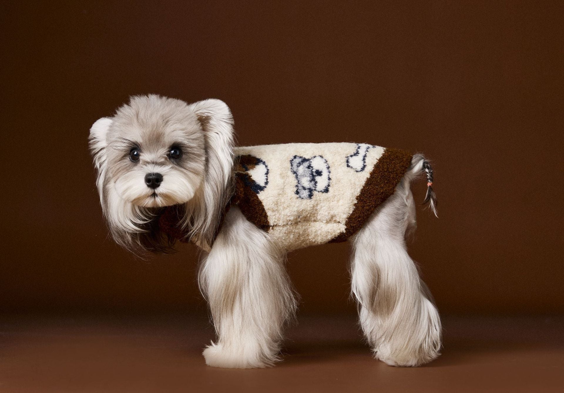 Vintage Knit Dog Sweater with Cartoon Embroidery