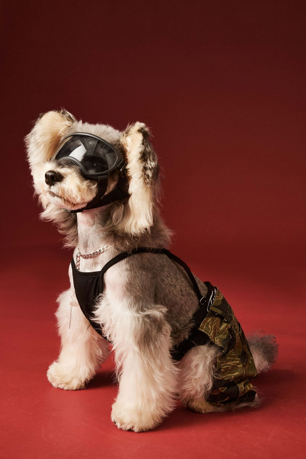 Camouflage Suspender Pants