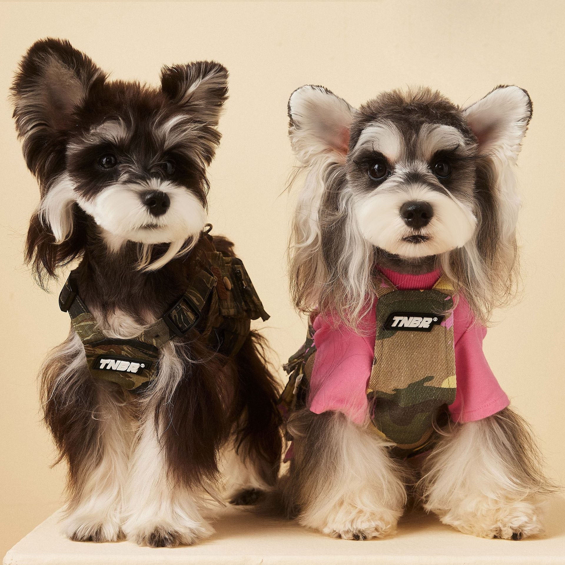 Camouflage Tactical Style Dog Vest