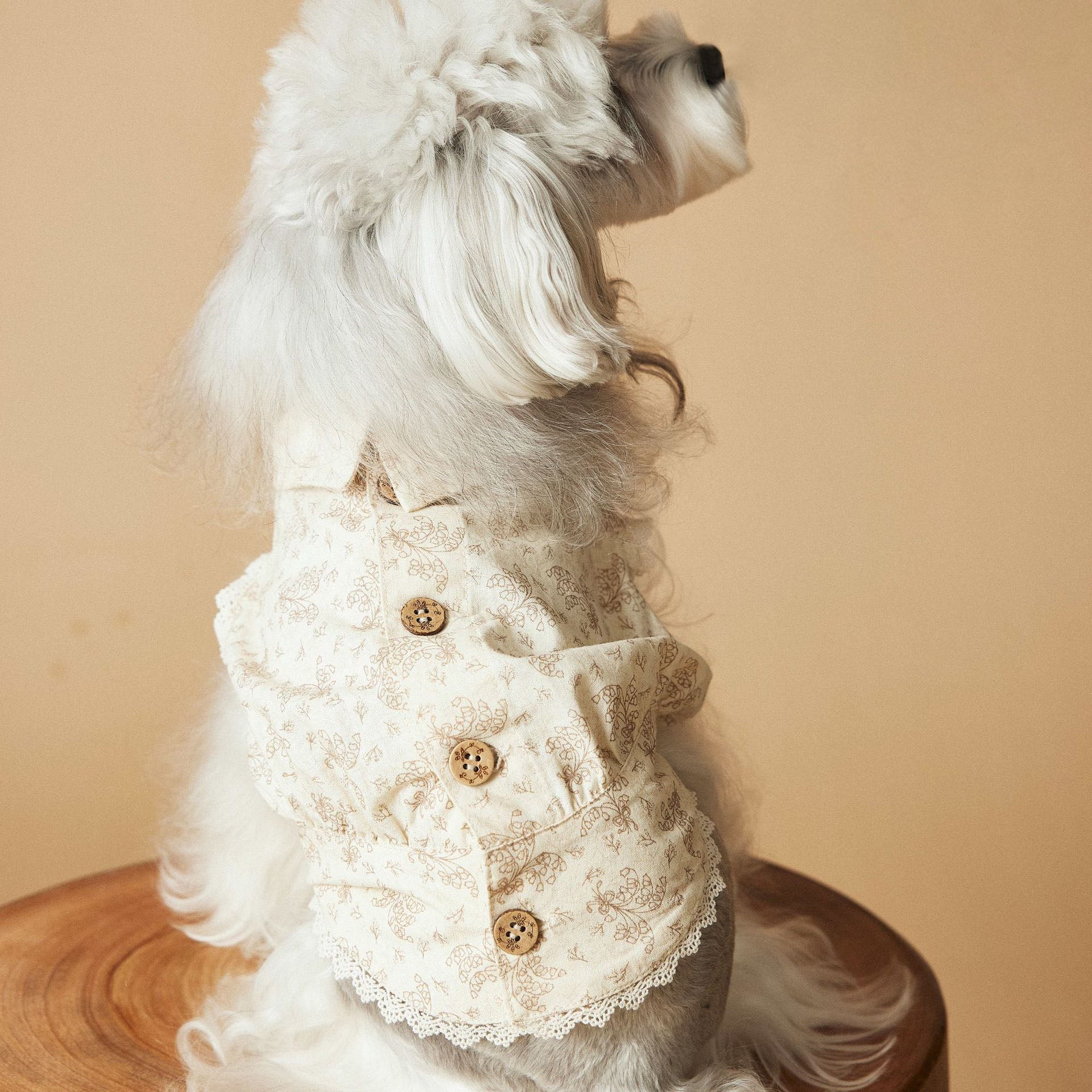 Samll Dog French Vintage Sleeveless Dress