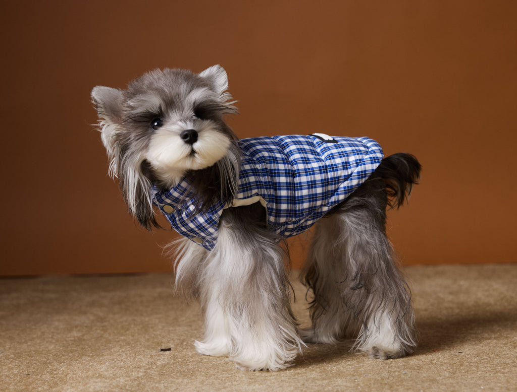 Plaid Puffer Vest