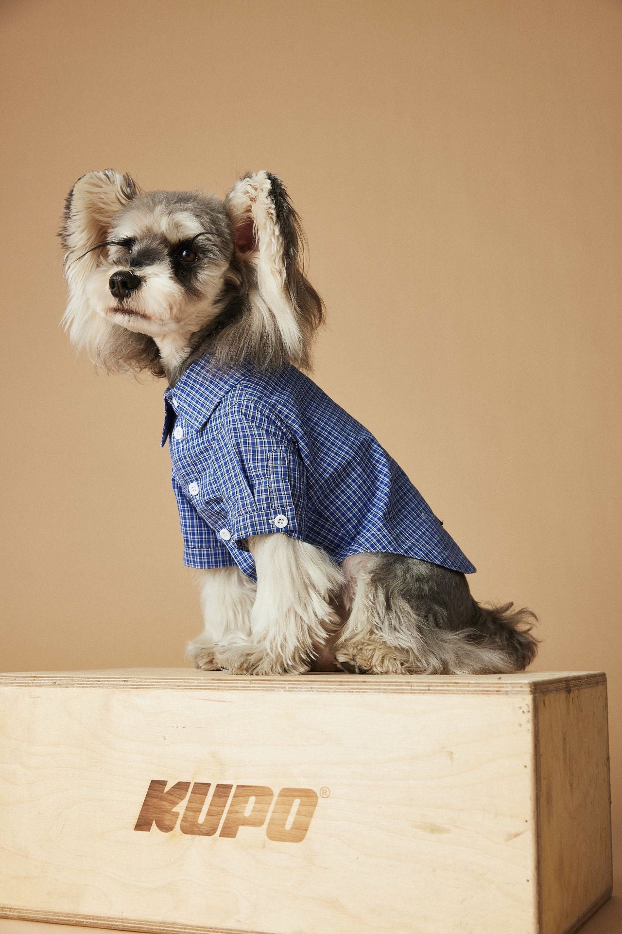 Plaid Button-Up Dog Shirt with Collar