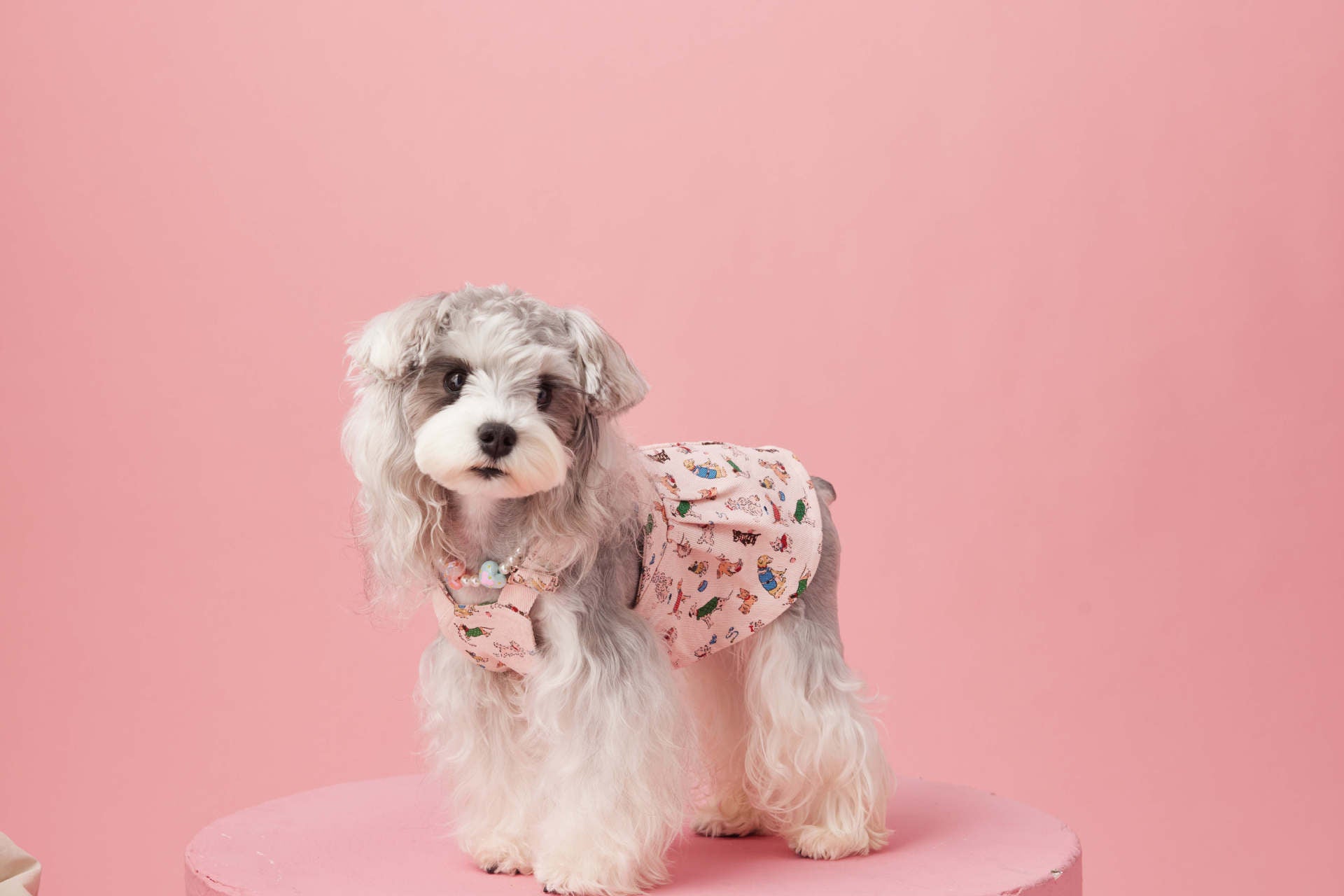 Denim Puppy Print Dress