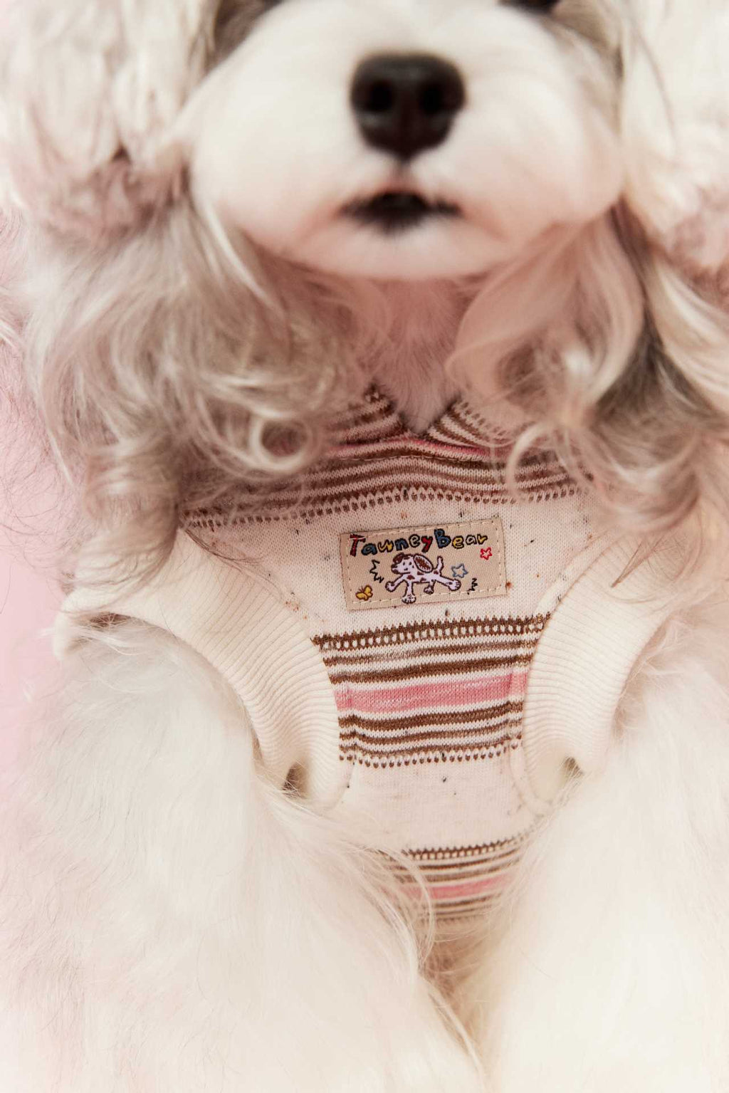 Cherry Bear Hooded Sweater
