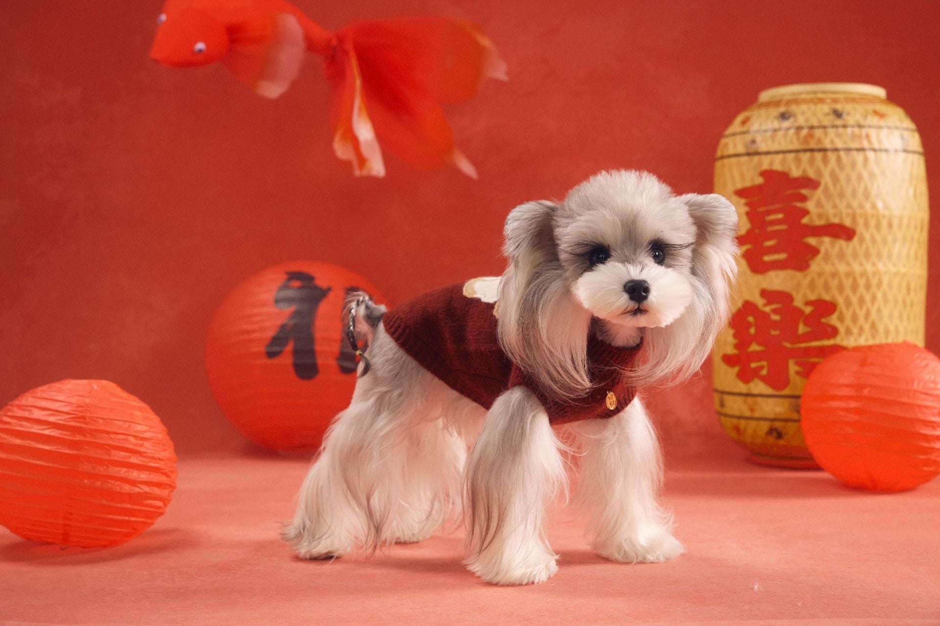 Lucky Pony Knit Sweater Vest