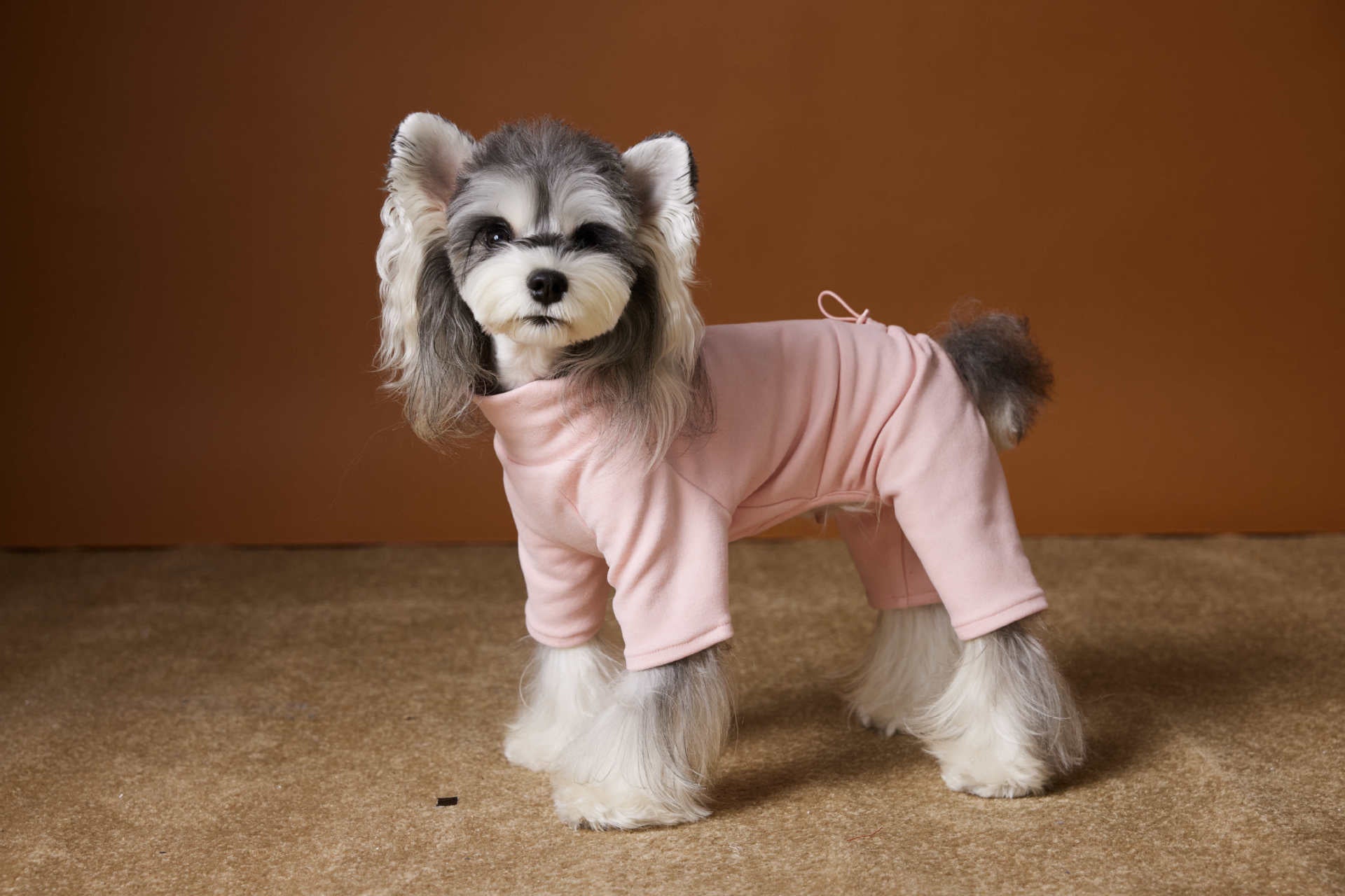 Warm Four-Leg Dog Jumpsuit